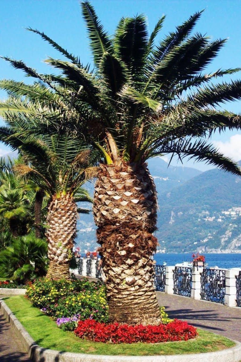 Mit Gemeinschaftspool-Binnen