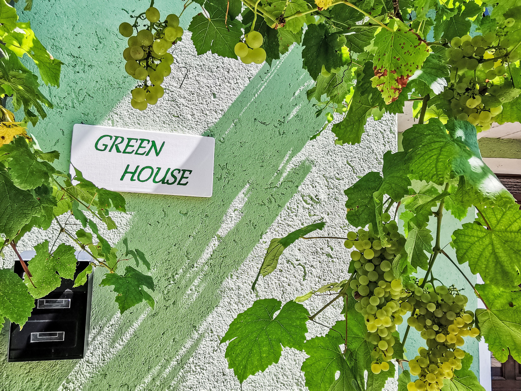 Green House-Draußen