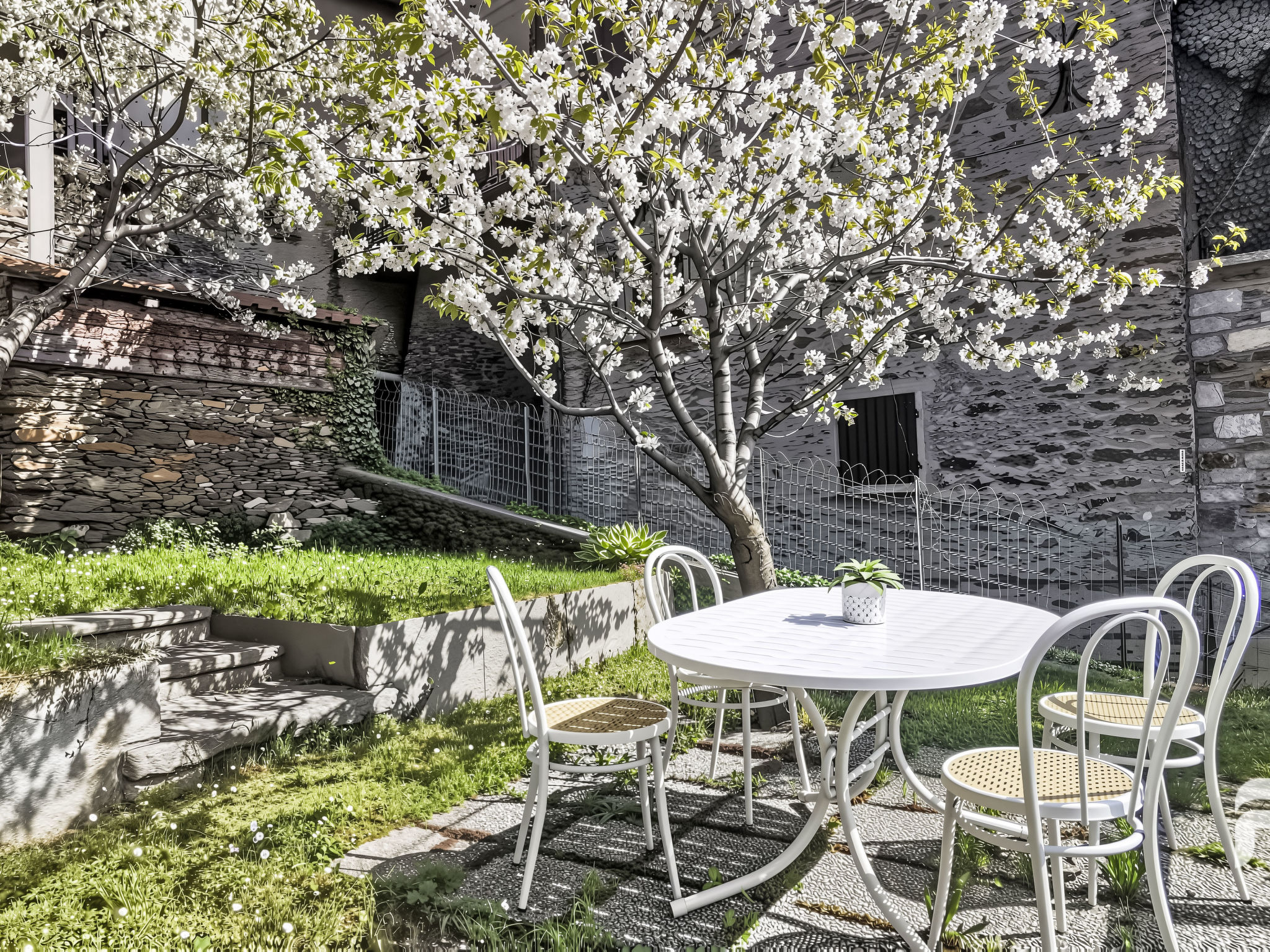 Green House-Dehors