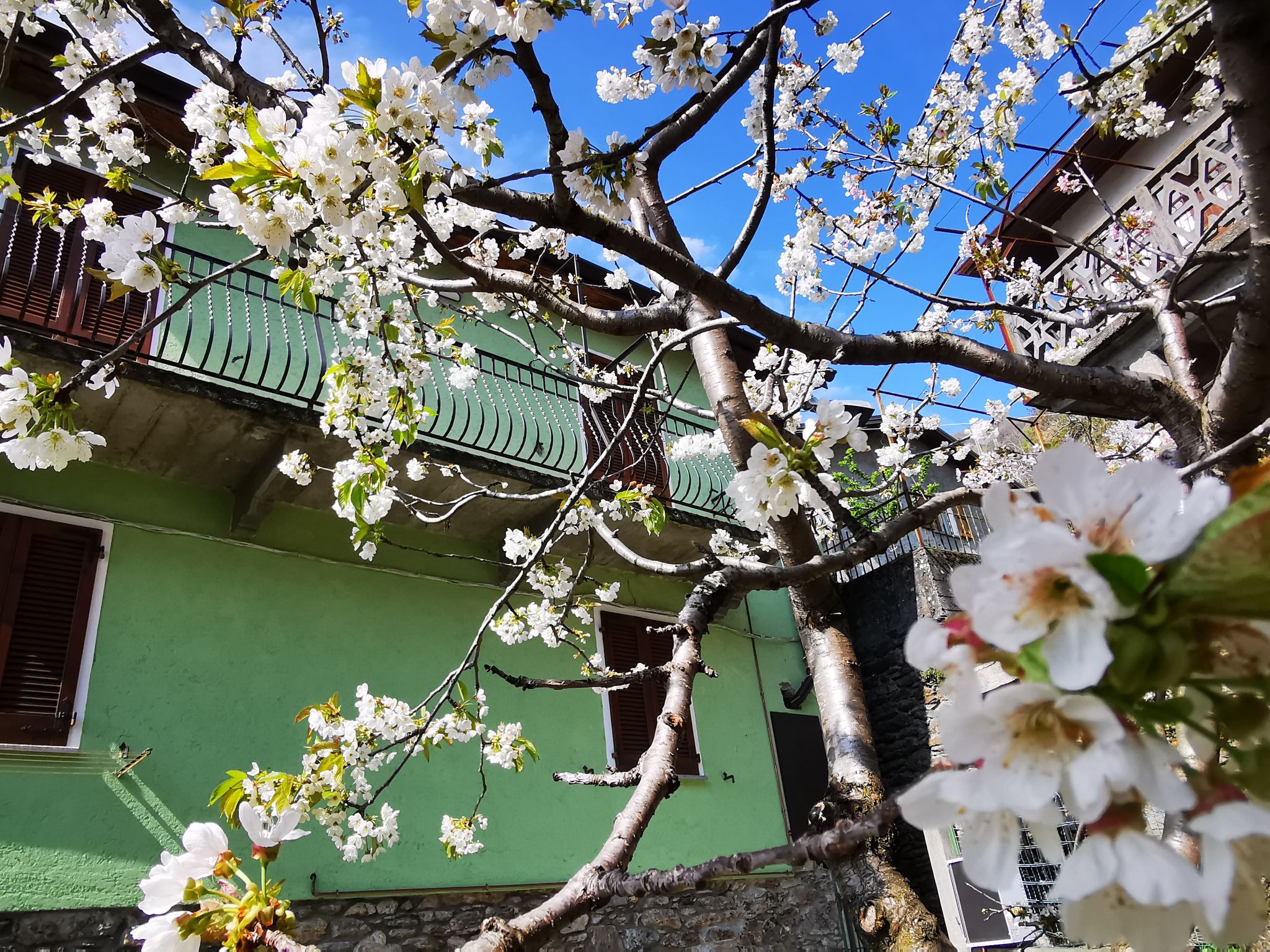 Green House-Dehors