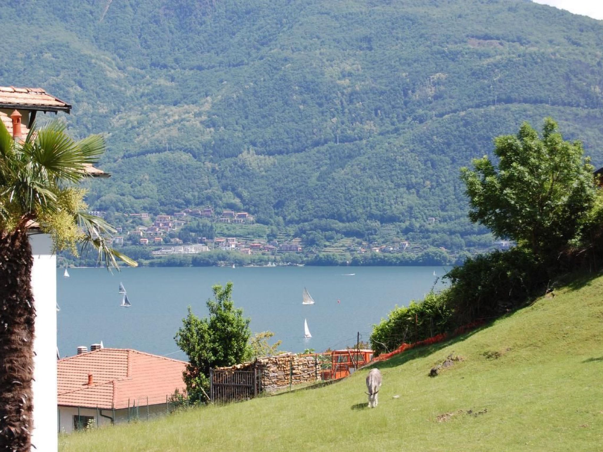 Wohnung Annetta mit Sicht auf See und Berge-Inside