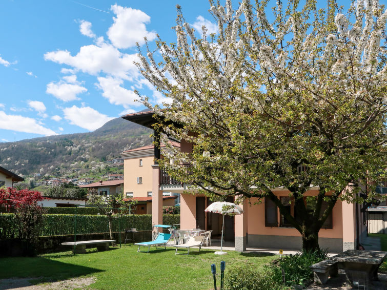 Domenica (GRV150)