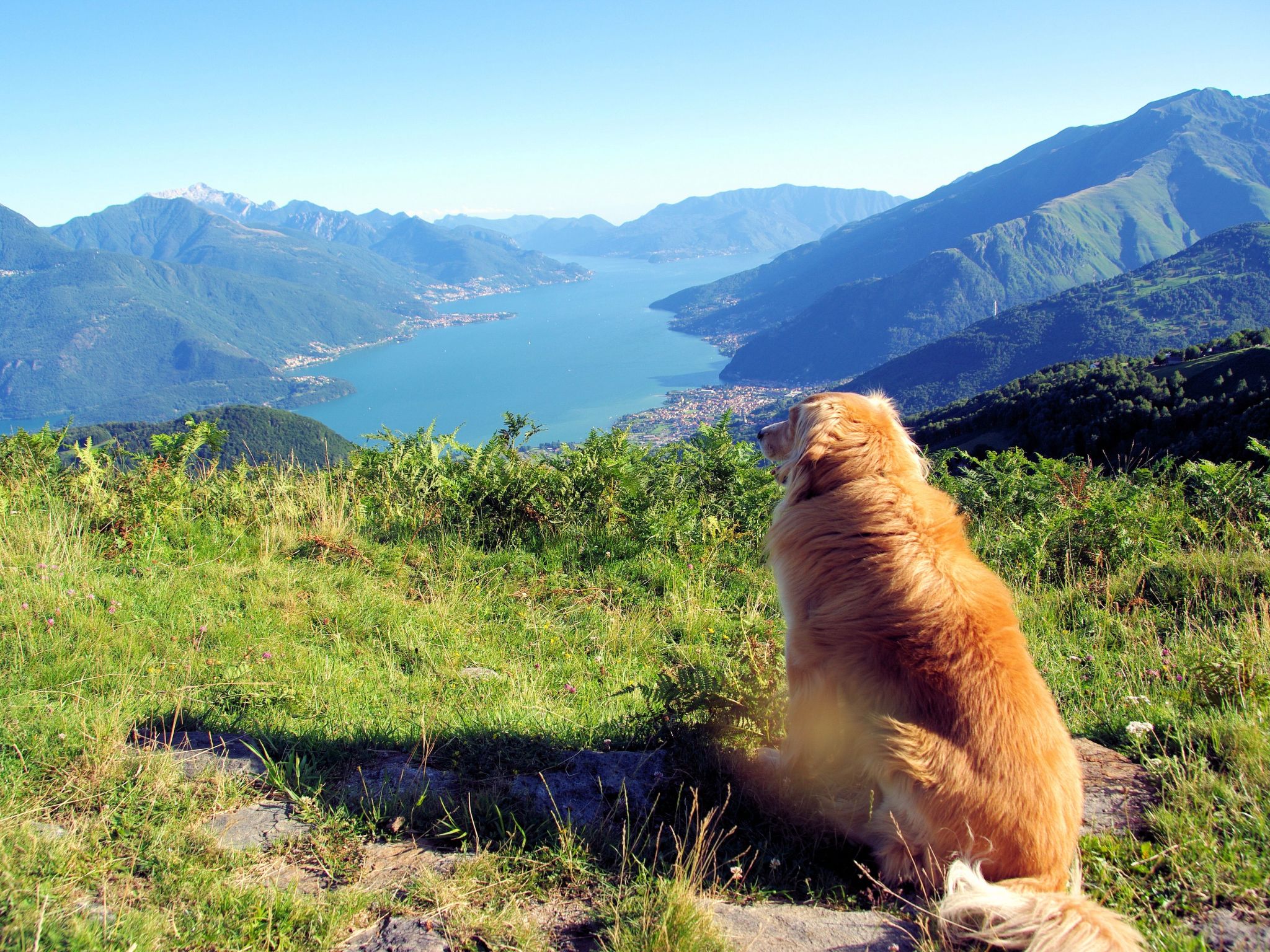 Photo of Le Baite di Bodone