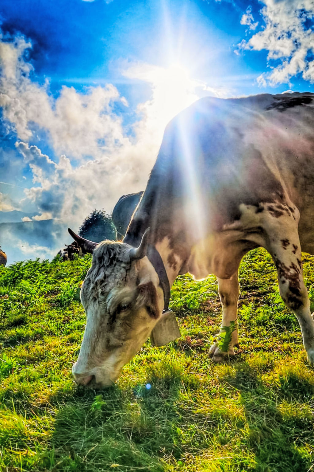 Le Baite di Bodone-Draußen