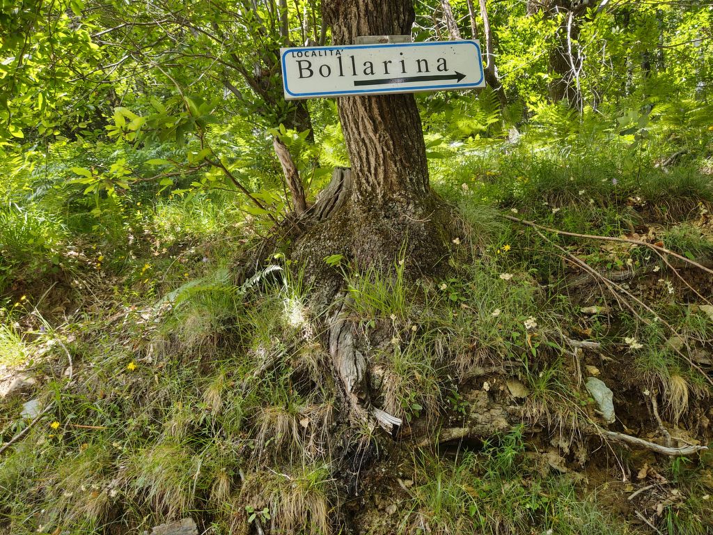 Bild 17