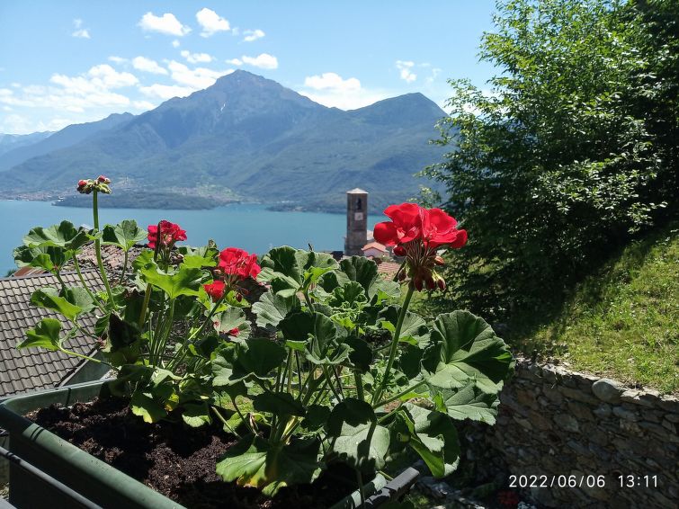 Photo of Il Nibbio