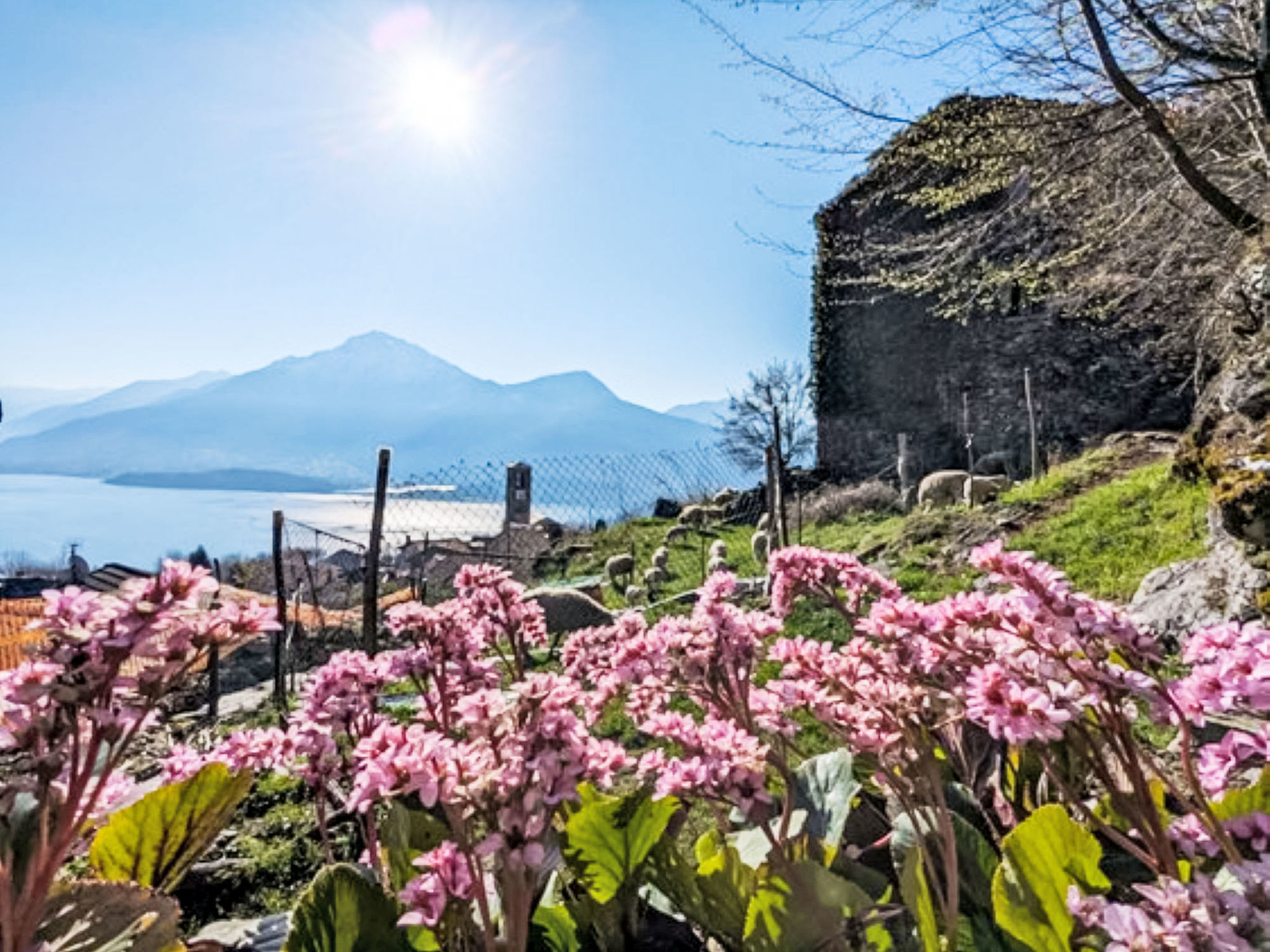 Photo of Il Nibbio