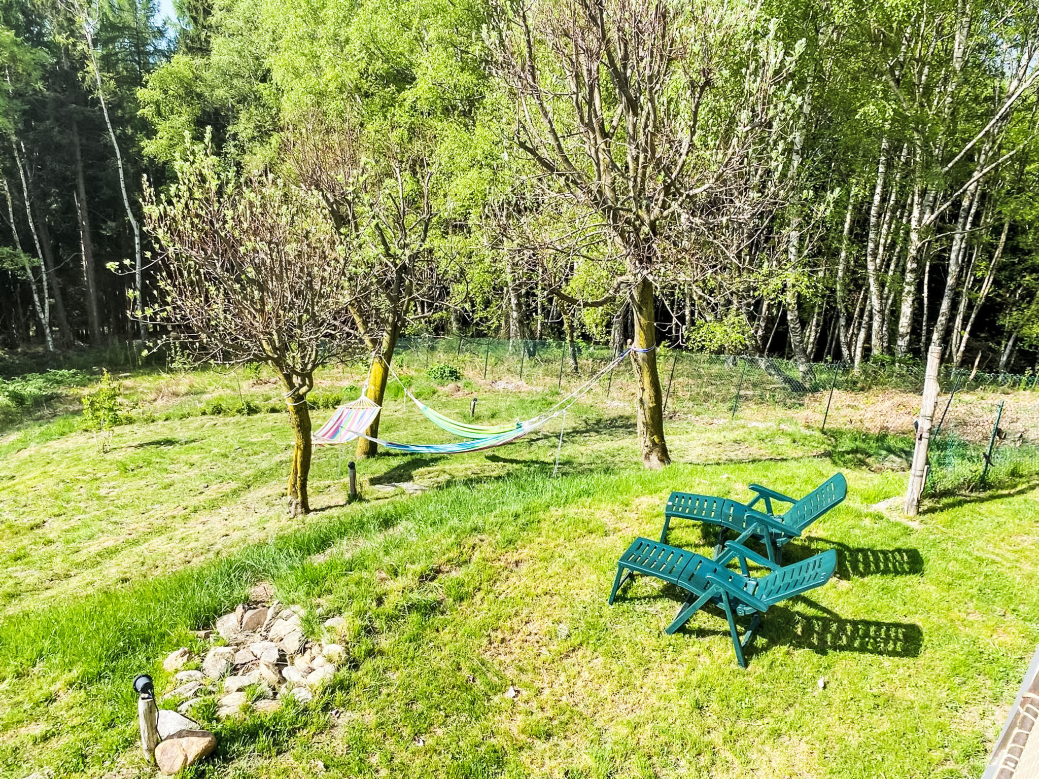 Photo of Baita Betulla Bianca