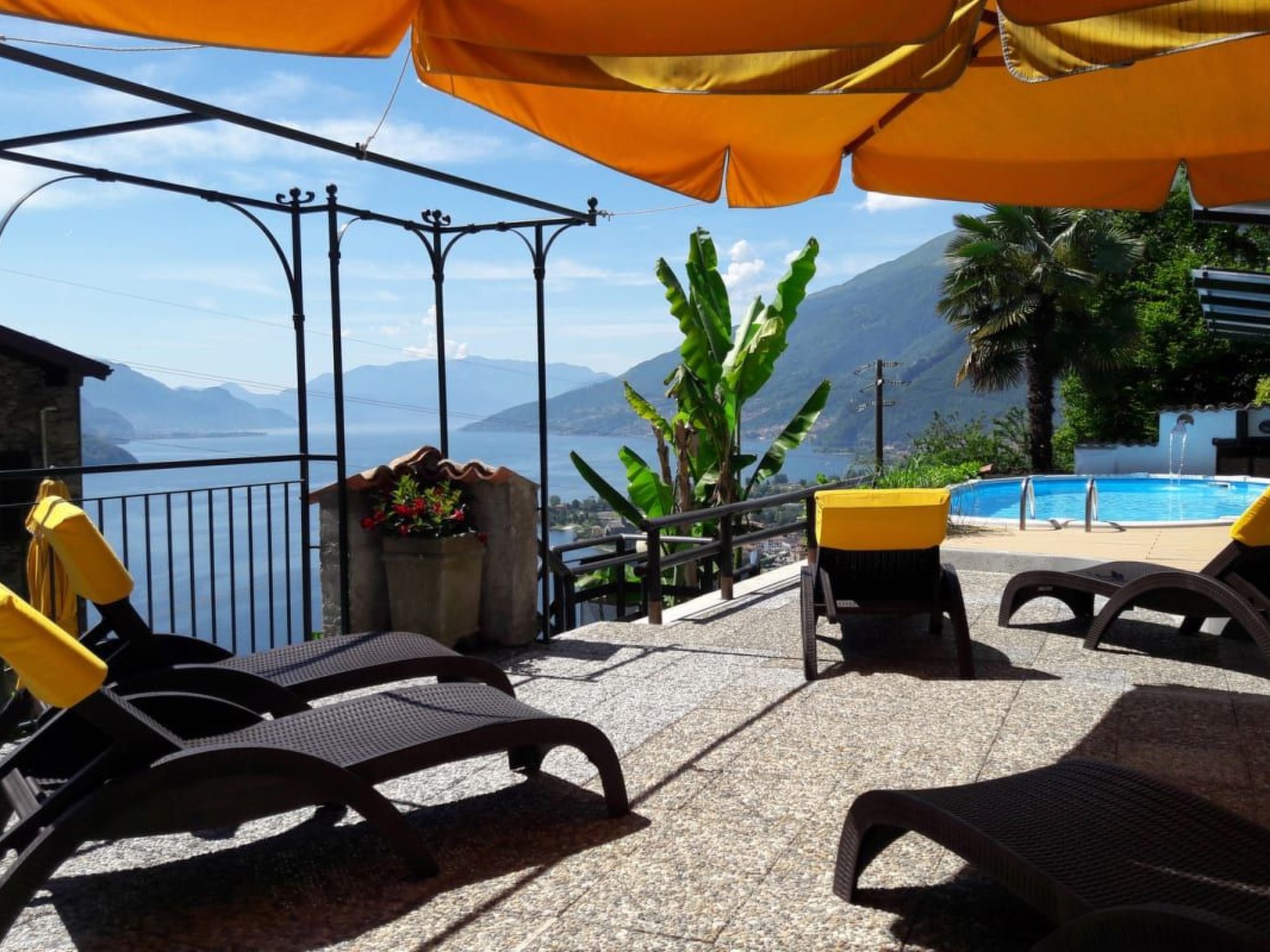 Sangiovese-Image-tags.info