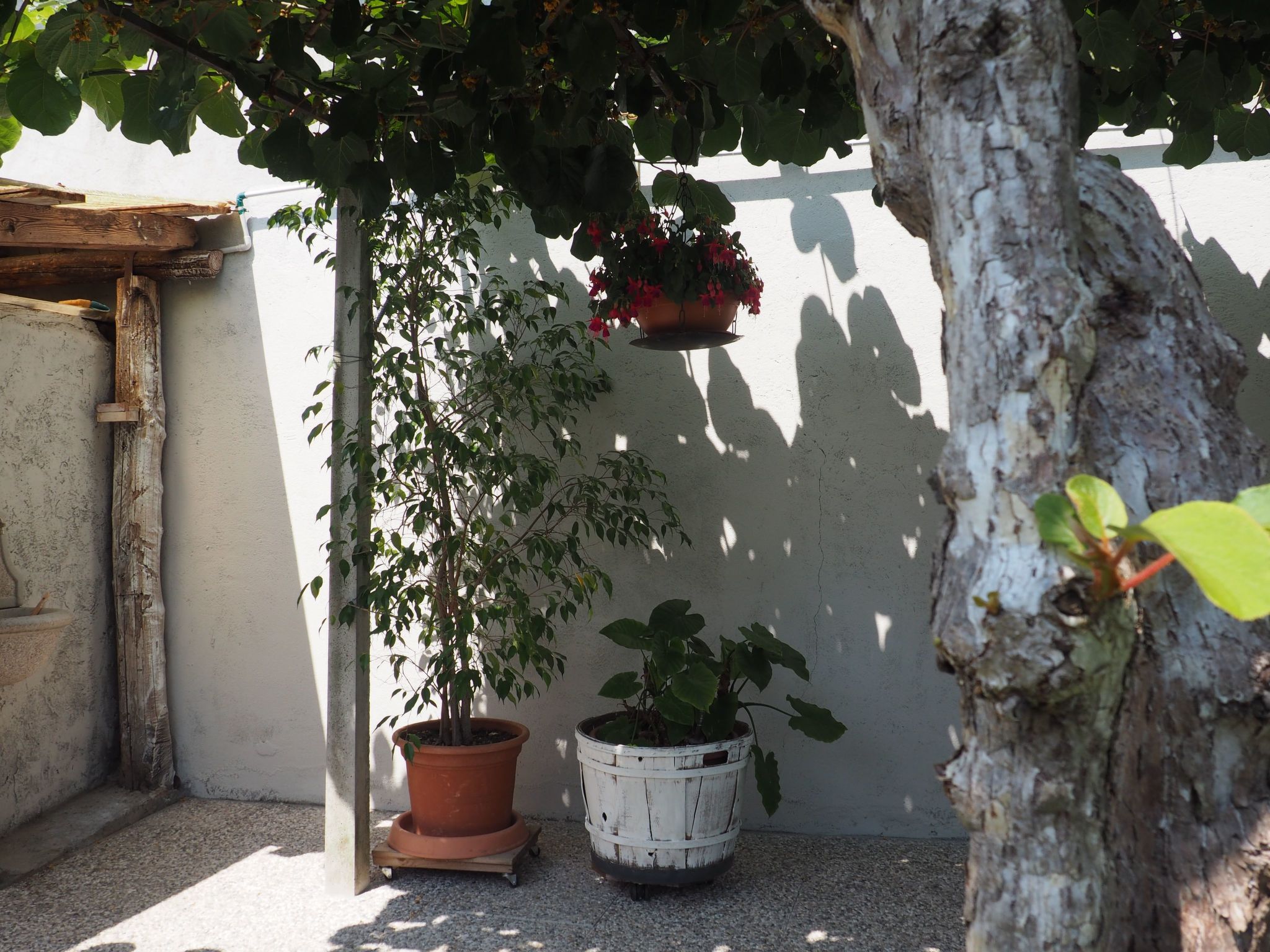 Wohnung 'Eugenia' mit Wasserblick-Drinnen