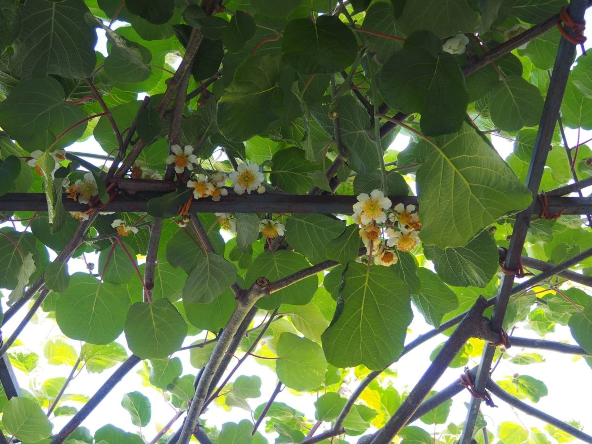 Wohnung 'Eugenia' mit Wasserblick-Drinnen