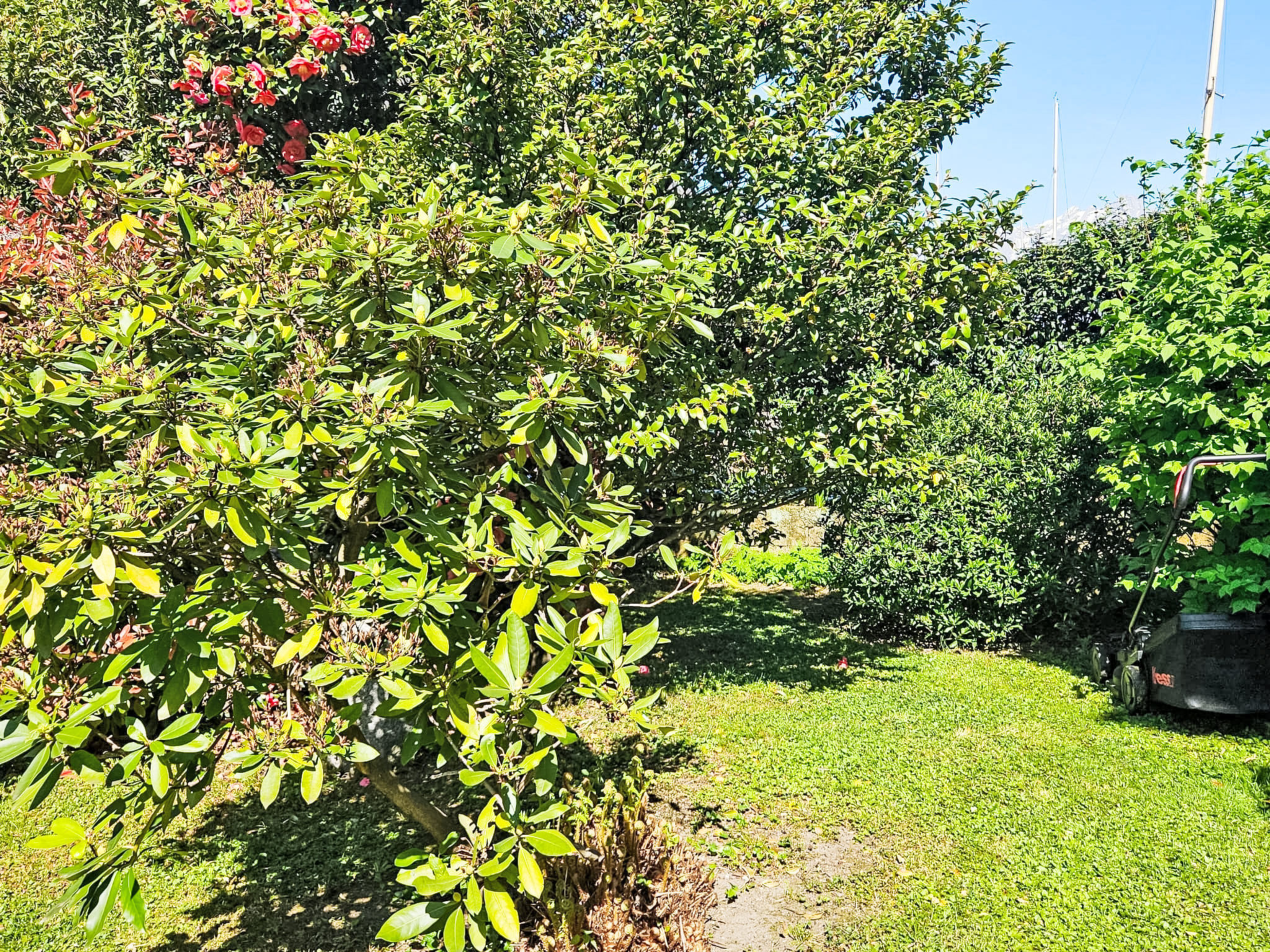 Casa Giardino a 50 mt dal lago - Buiten