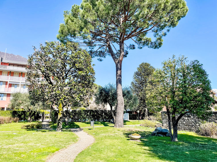 Photo of La Breva