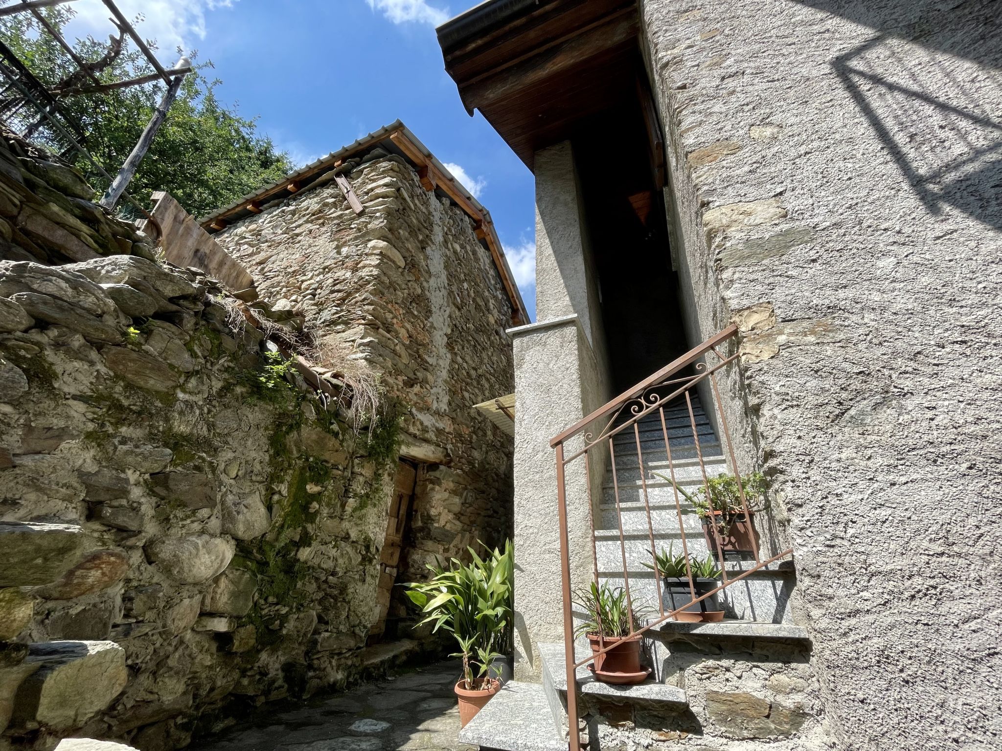 Niki - Dehors