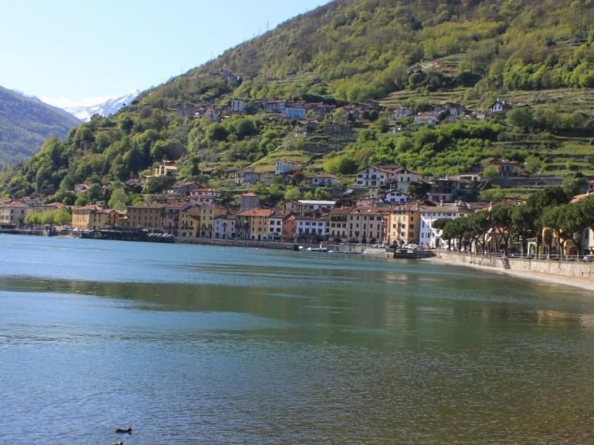 Wohnung in Domaso mit privatem Parkplatz-Dedans