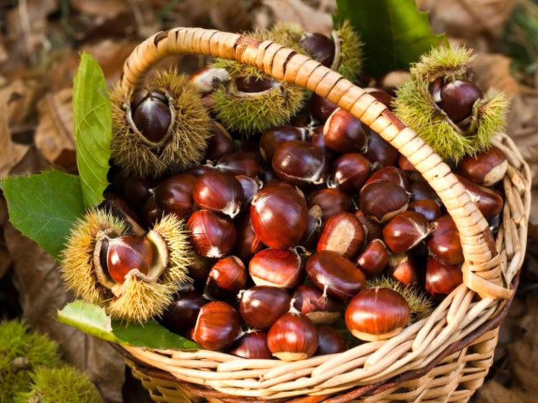Photo of Dachgeschosswohnung am See für 6 Personen