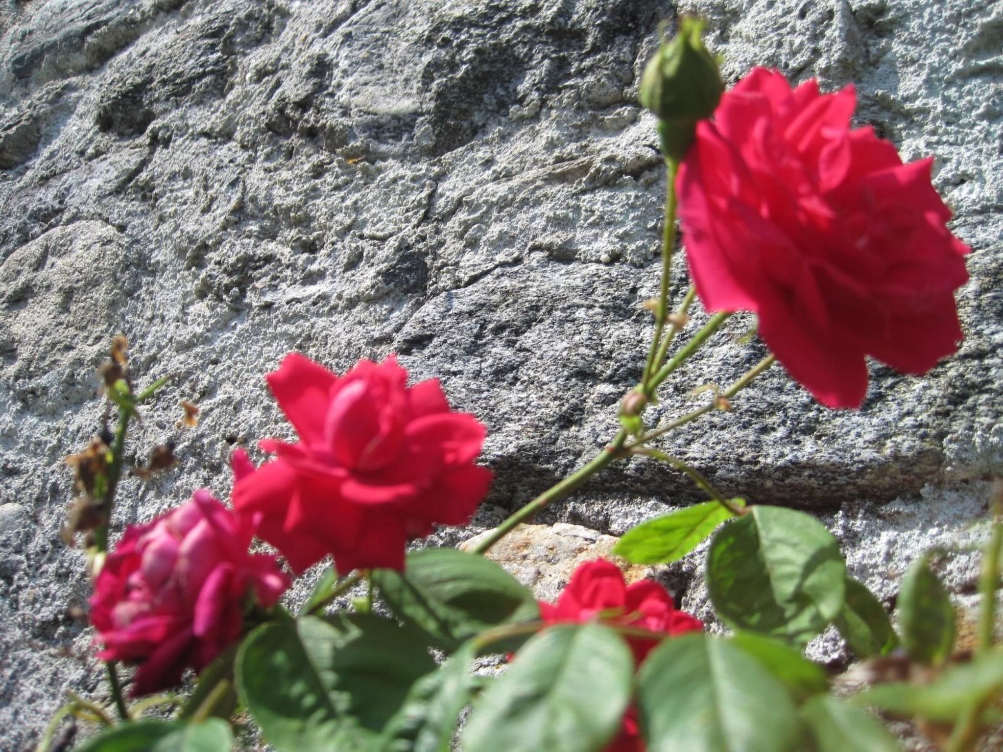 Photo of Wohnung im historischen Zentrum mit Balkon