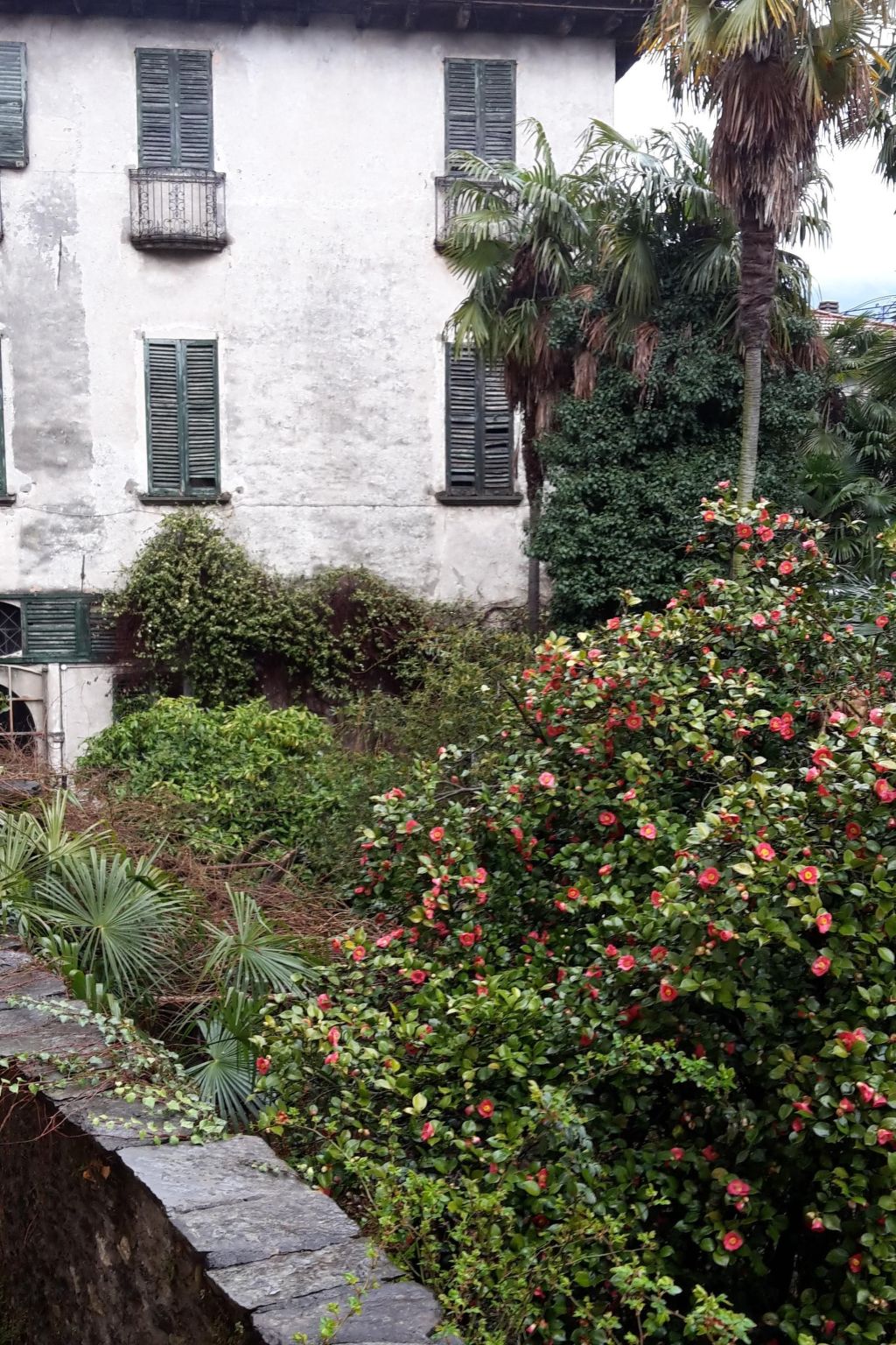 Photo of Wohnung im historischen Zentrum mit Balkon