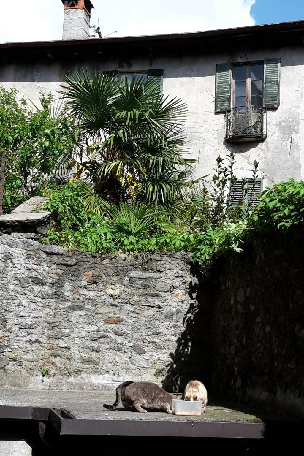 Photo of Wohnung im historischen Zentrum mit Balkon