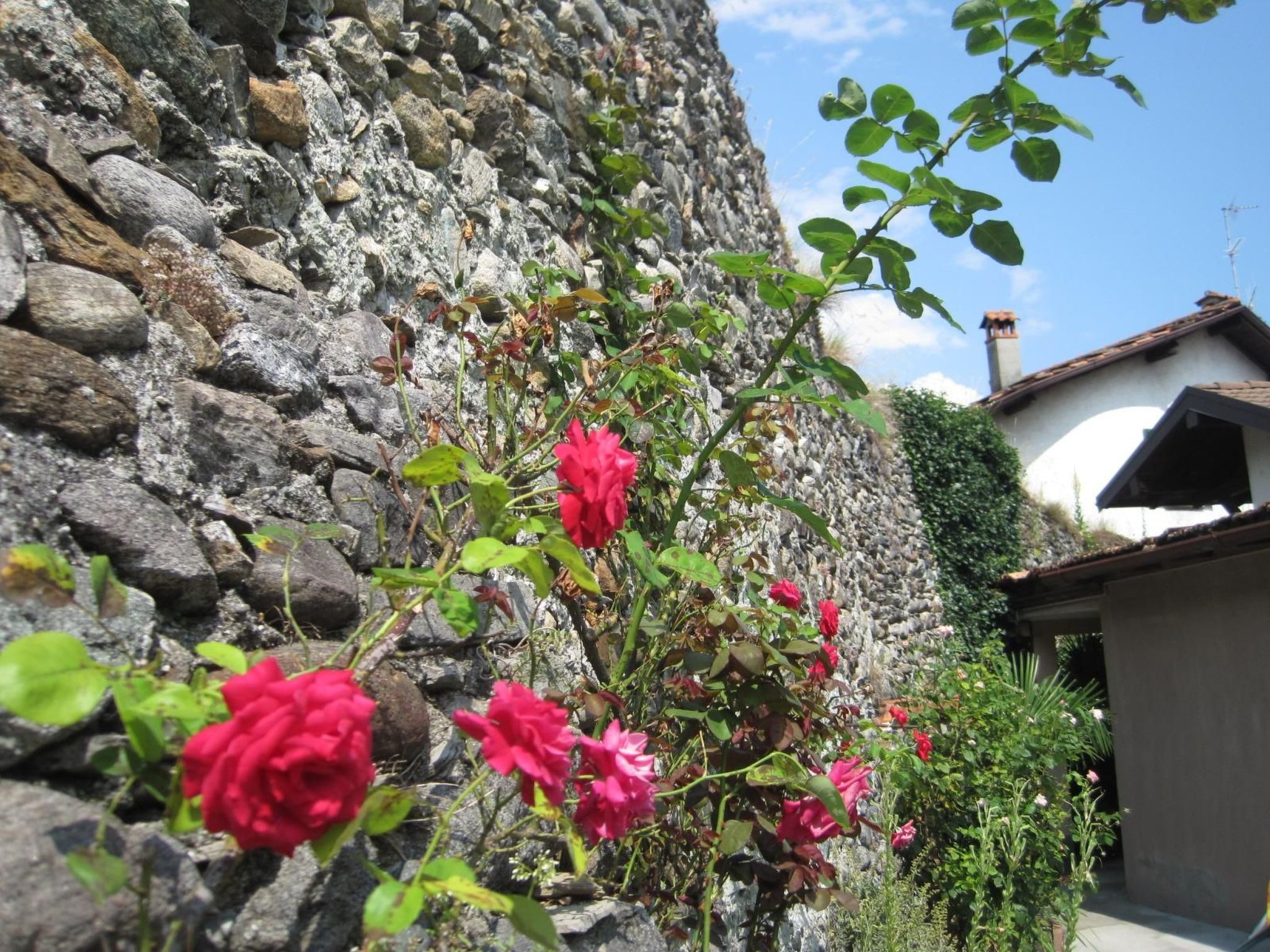 Photo of Ruhig gelegene Ferienwohnung in der Altstadt von Domaso