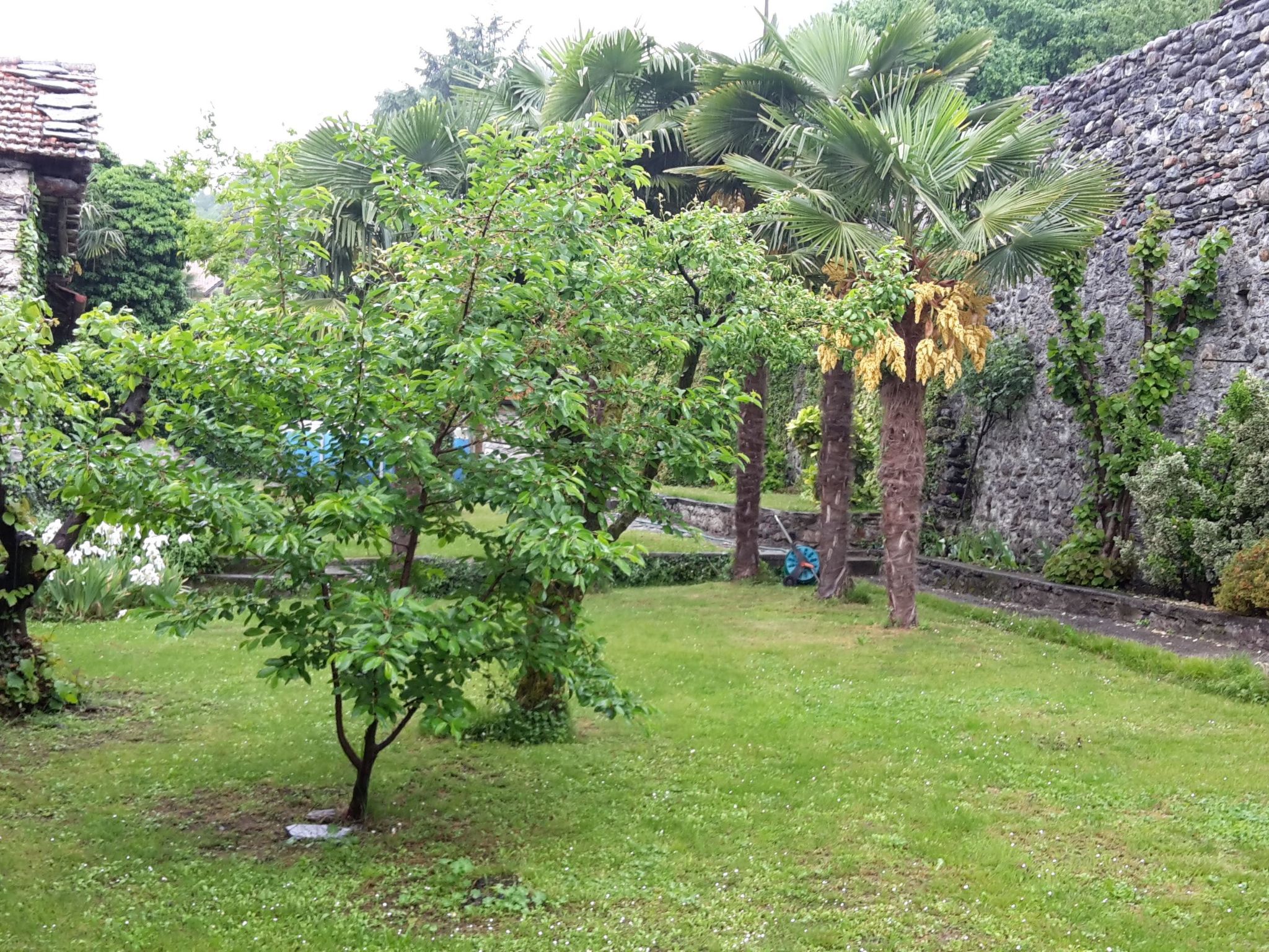 Photo of Ruhig gelegene Ferienwohnung in der Altstadt von Domaso