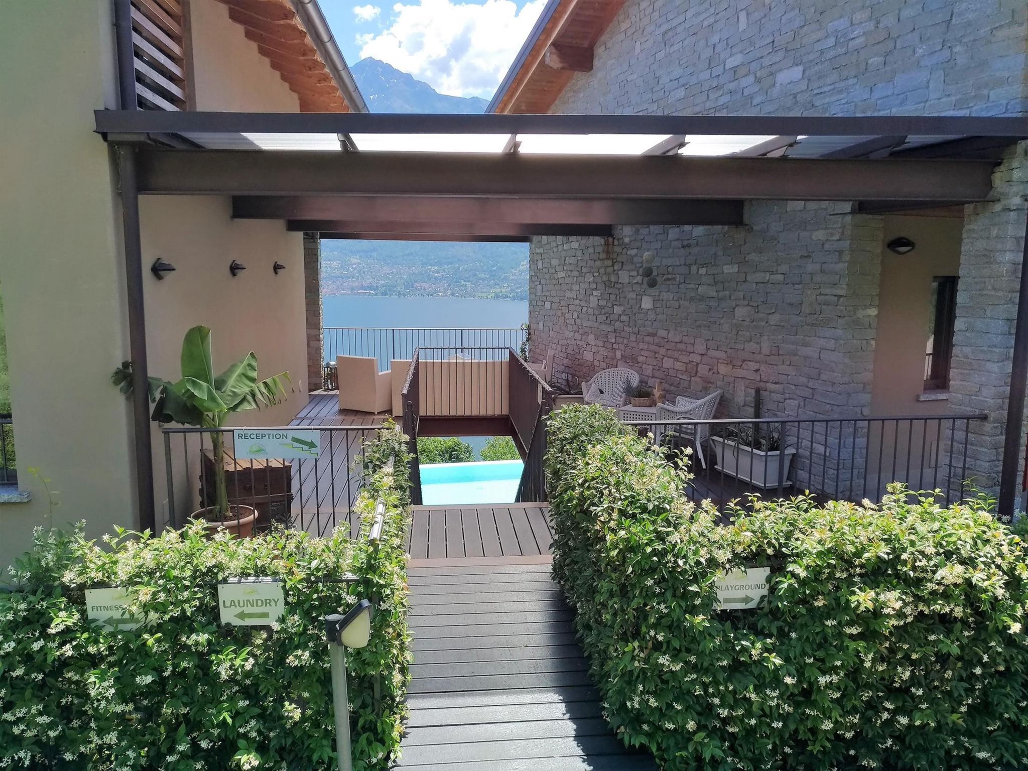 Camelia-Image-tags.info