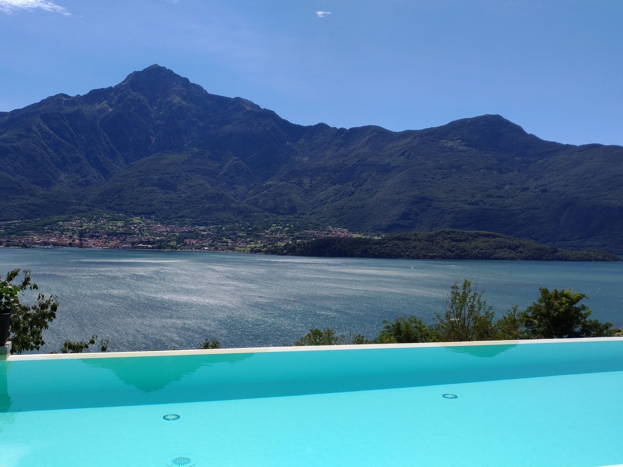 Camelia-Image-tags.info