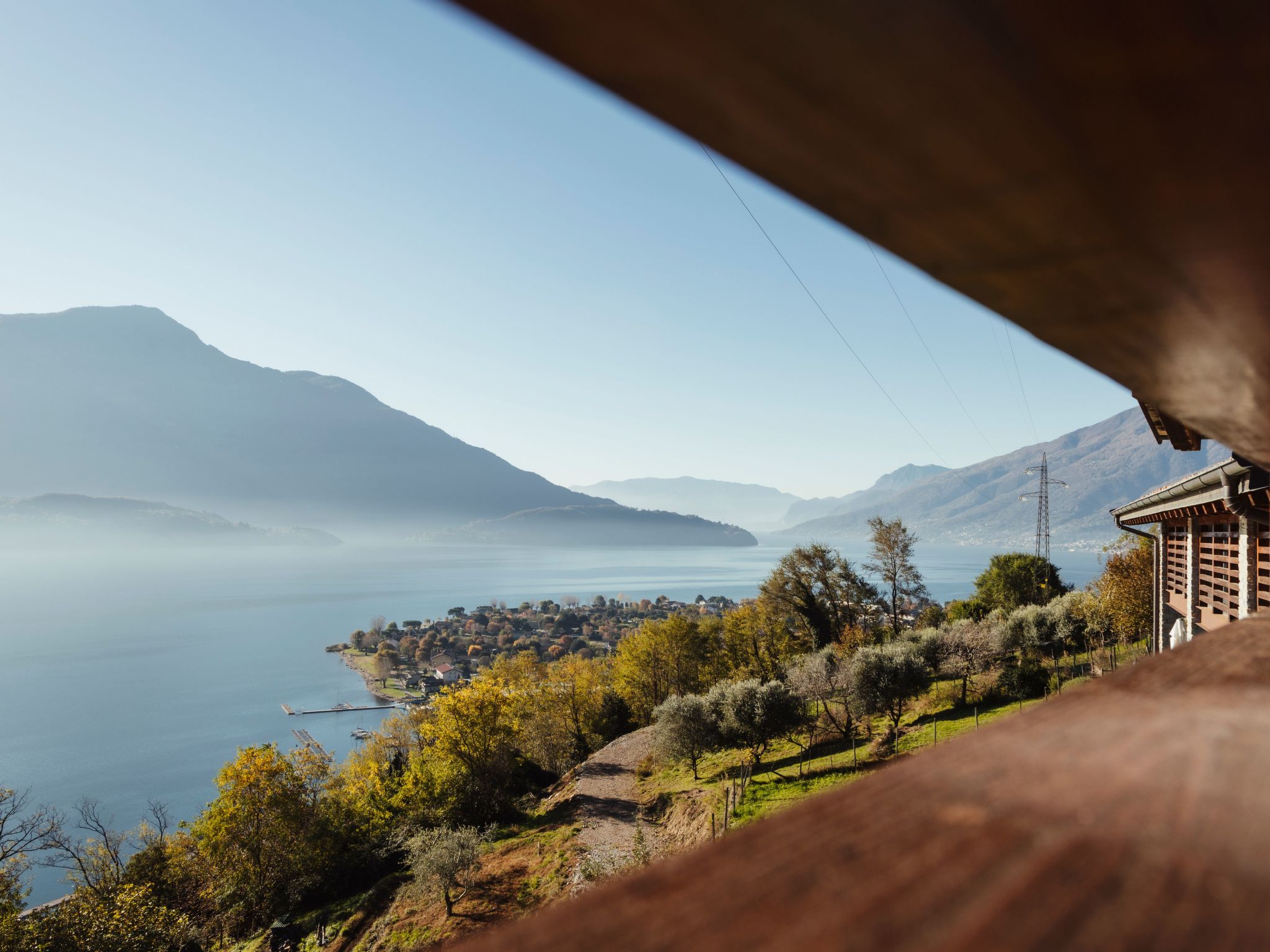 Gelsomino-Image-tags.info