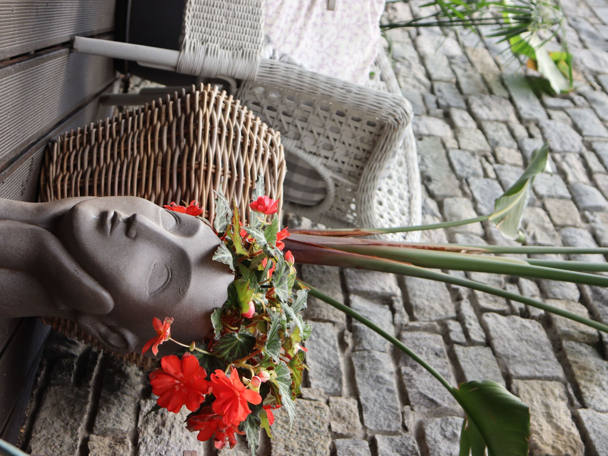 Gelsomino-Image-tags.info