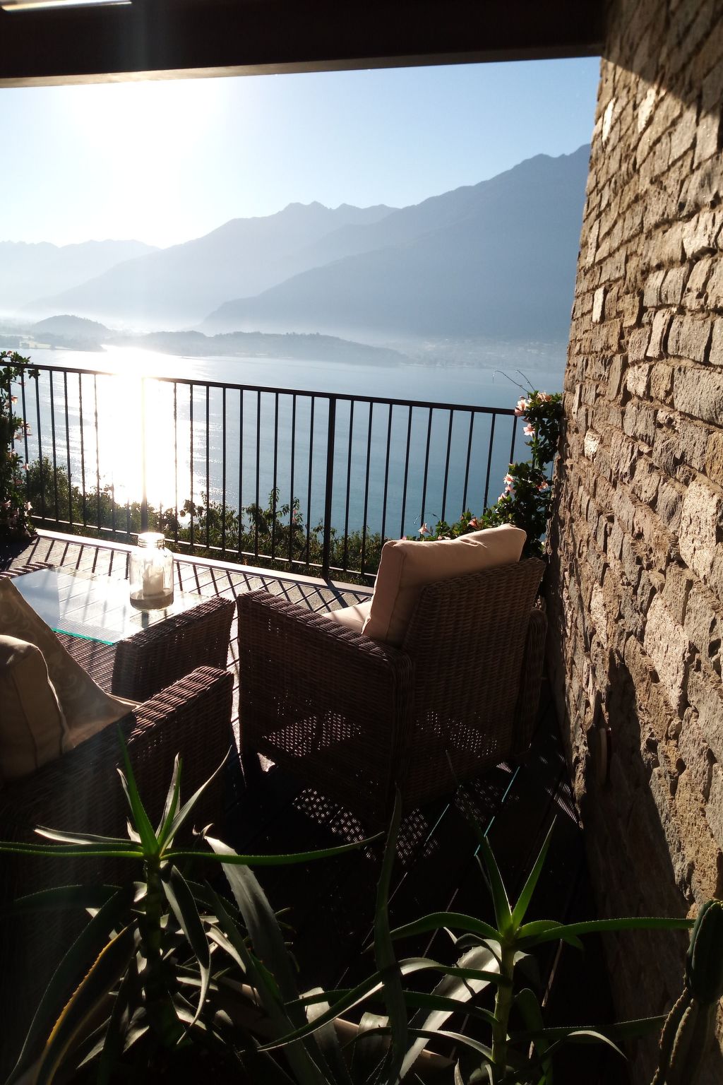 Gelsomino-Image-tags.info