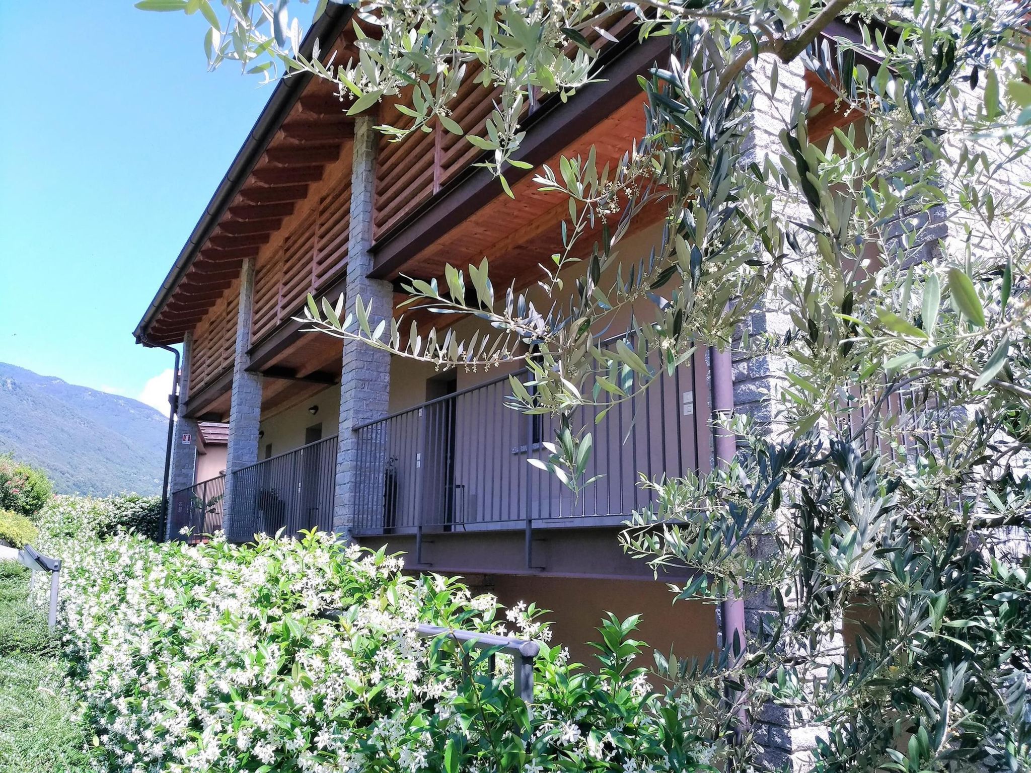 Gelsomino-Image-tags.info