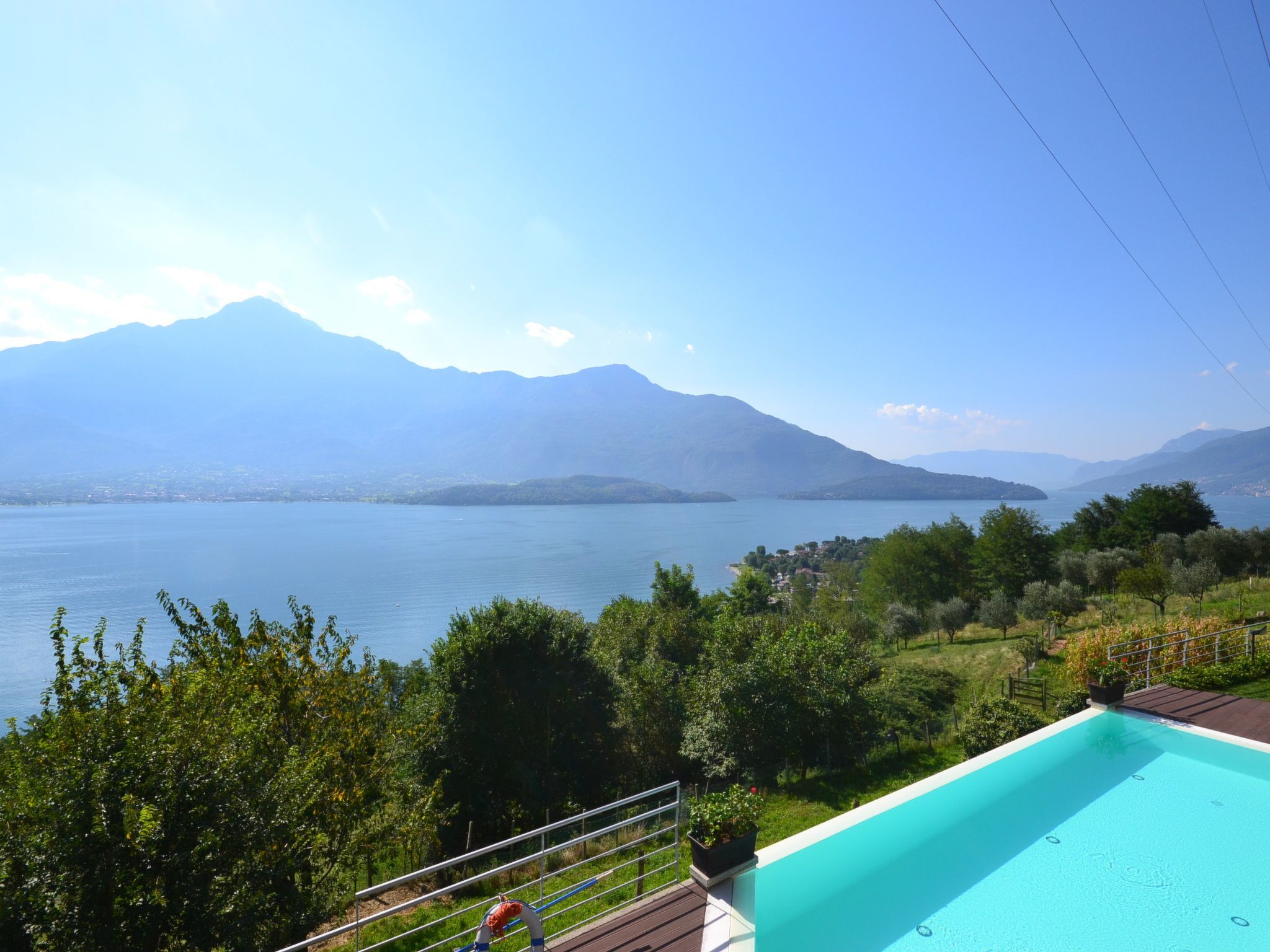 Gelsomino-Image-tags.info