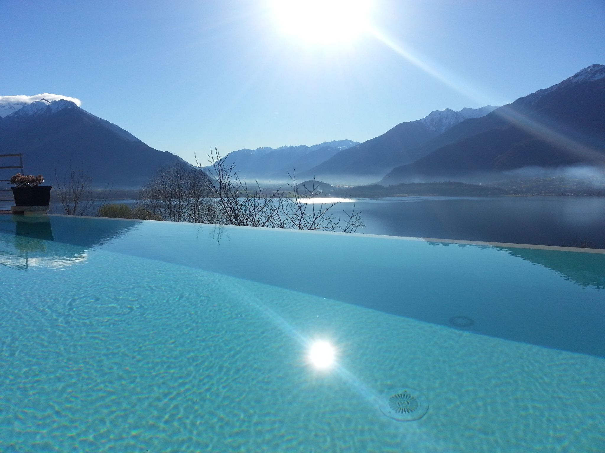 Gelsomino-Image-tags.info