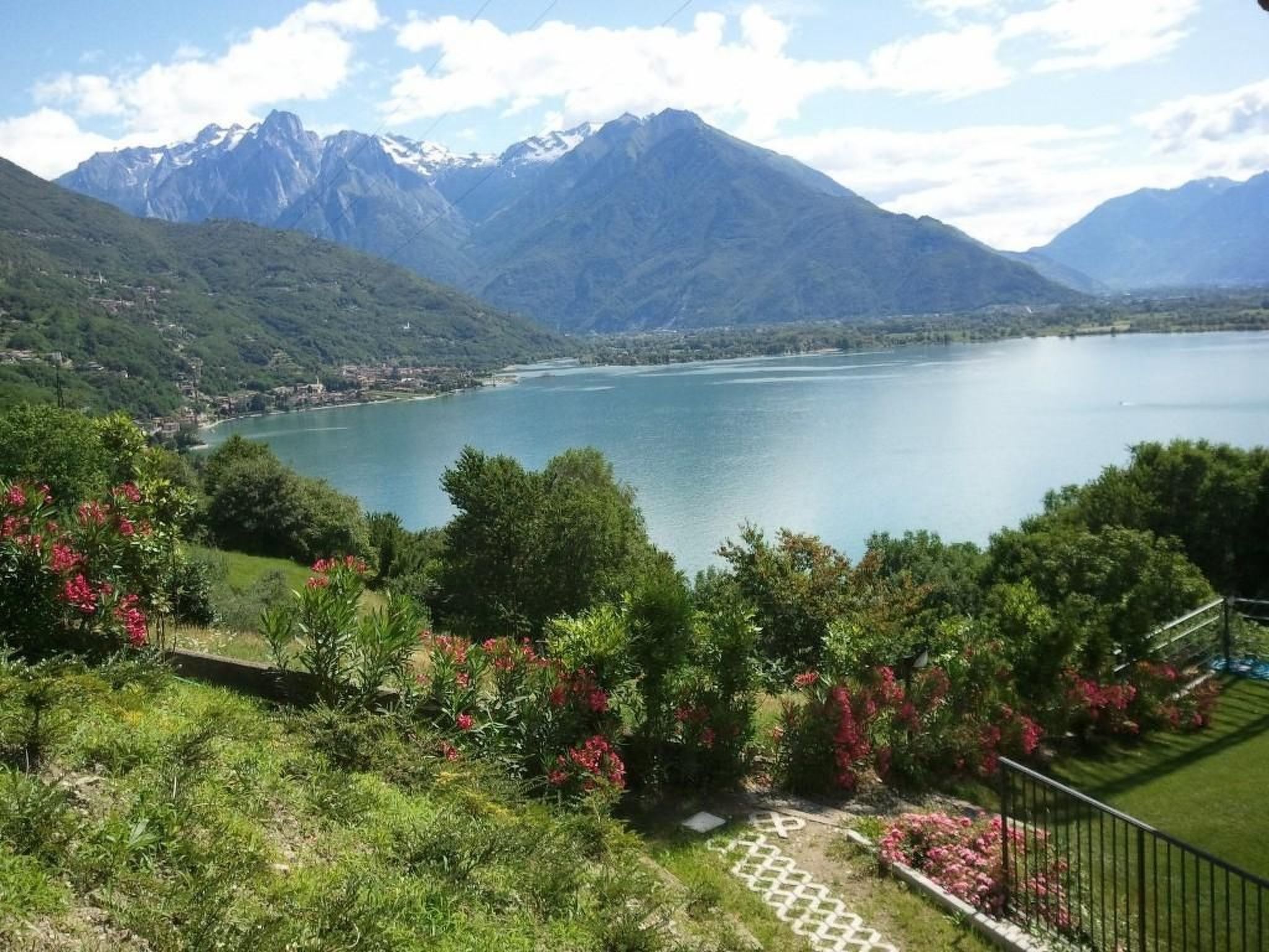 Gelsomino-Image-tags.info