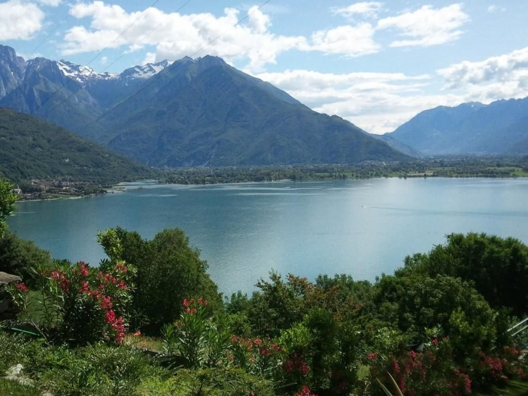 Gelsomino-Image-tags.info