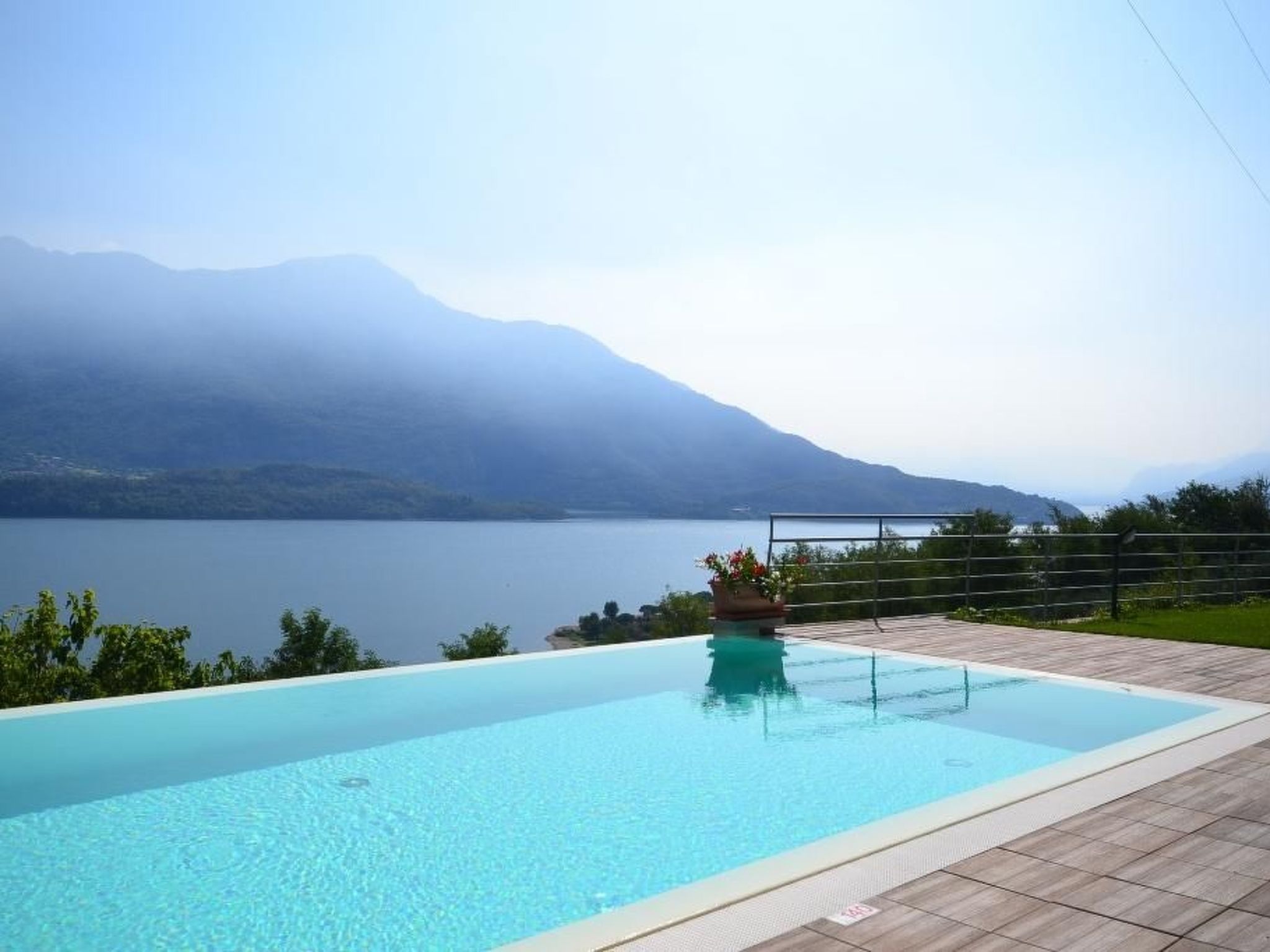 Orchidea-Image-tags.info