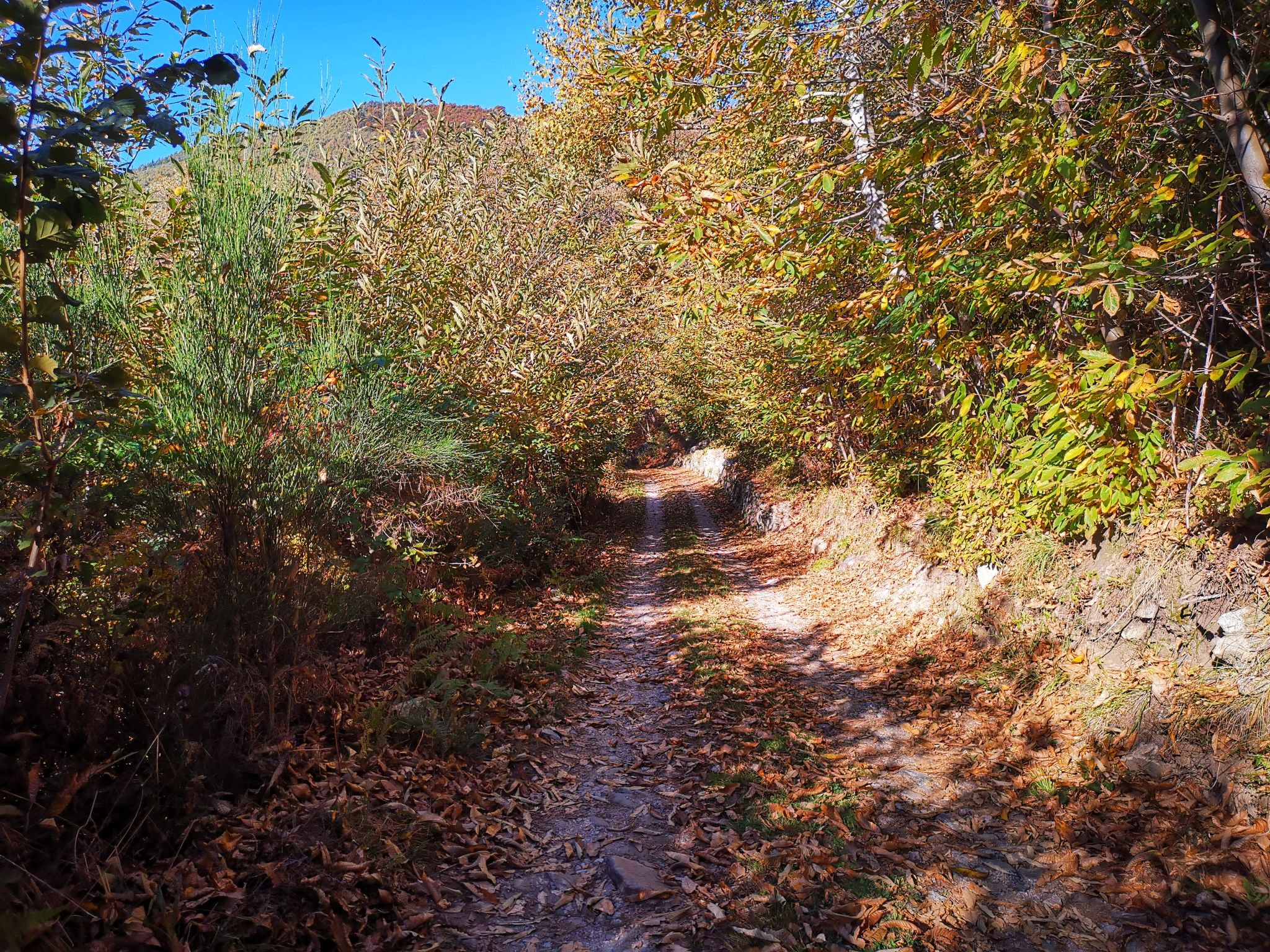 Baita Mirtillo-Draußen