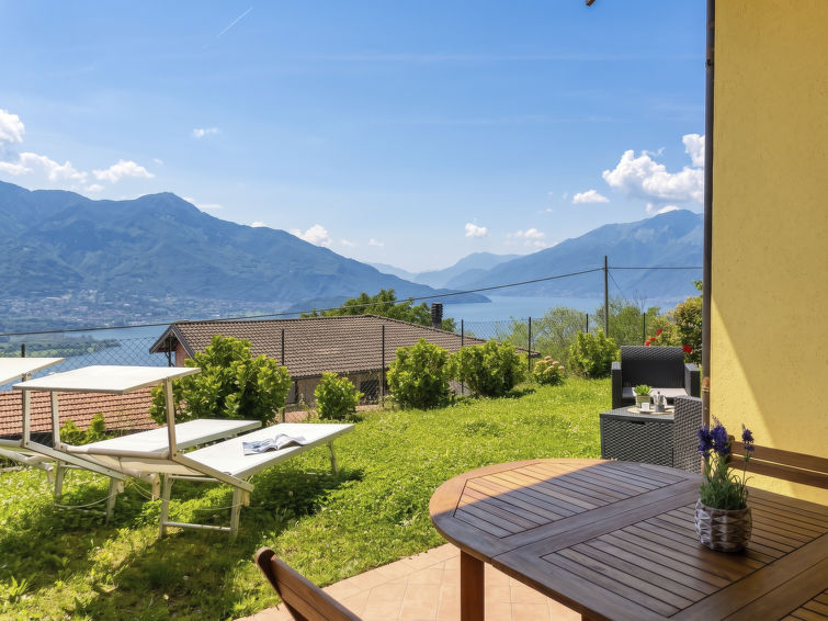 Libellula - Lake Como