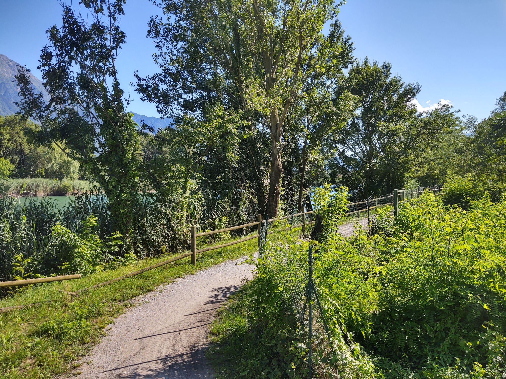 Villa Mera – Environs, photo 52 sur 63