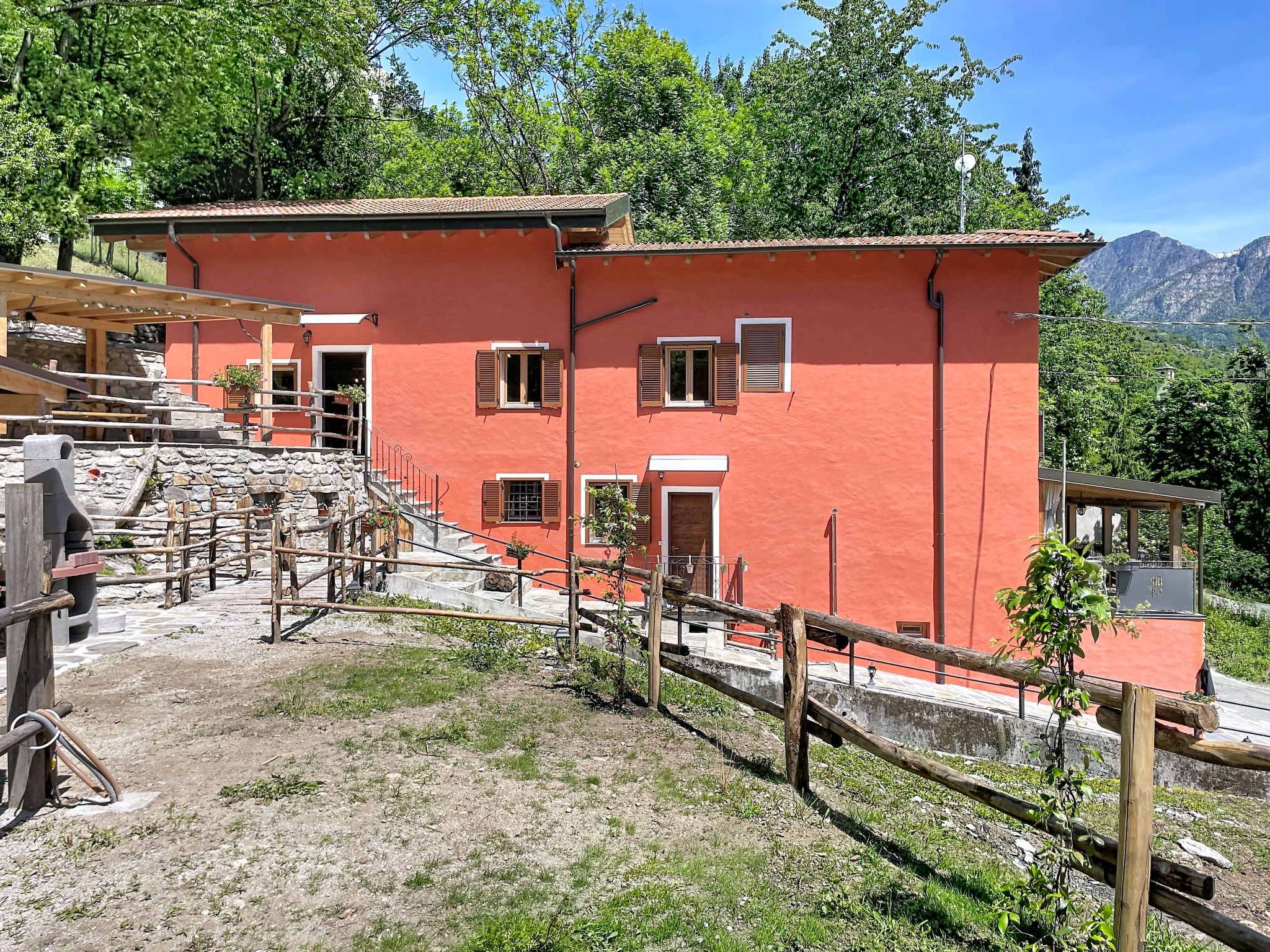 Olivo - Dehors