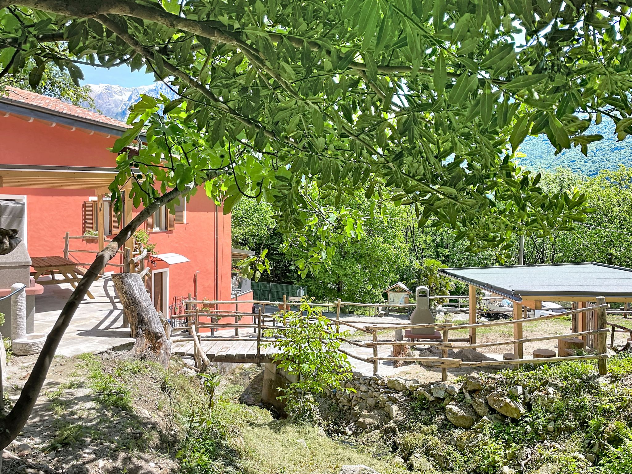 Olivo - Dehors