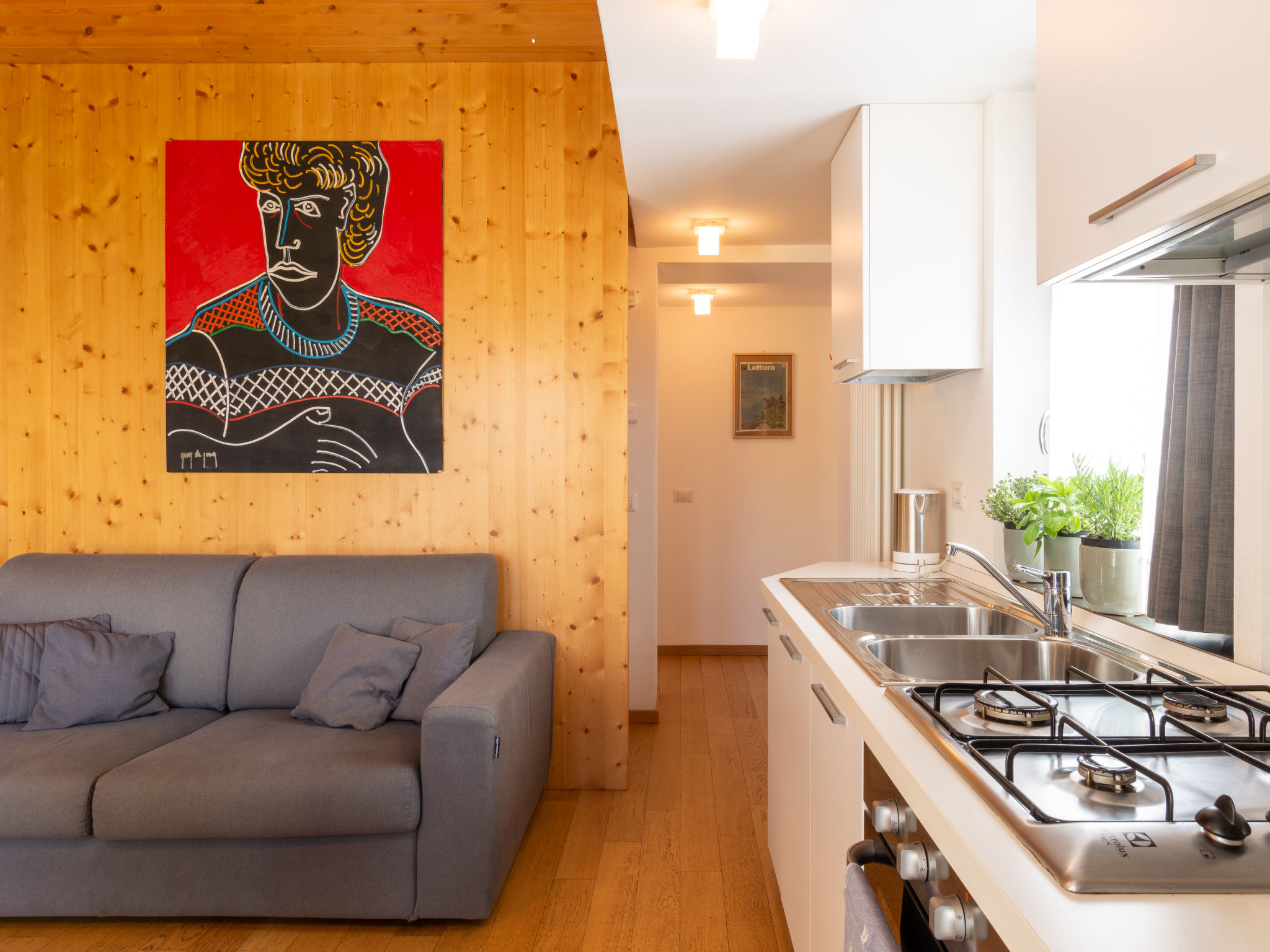 Photo of Baila (CCO510)