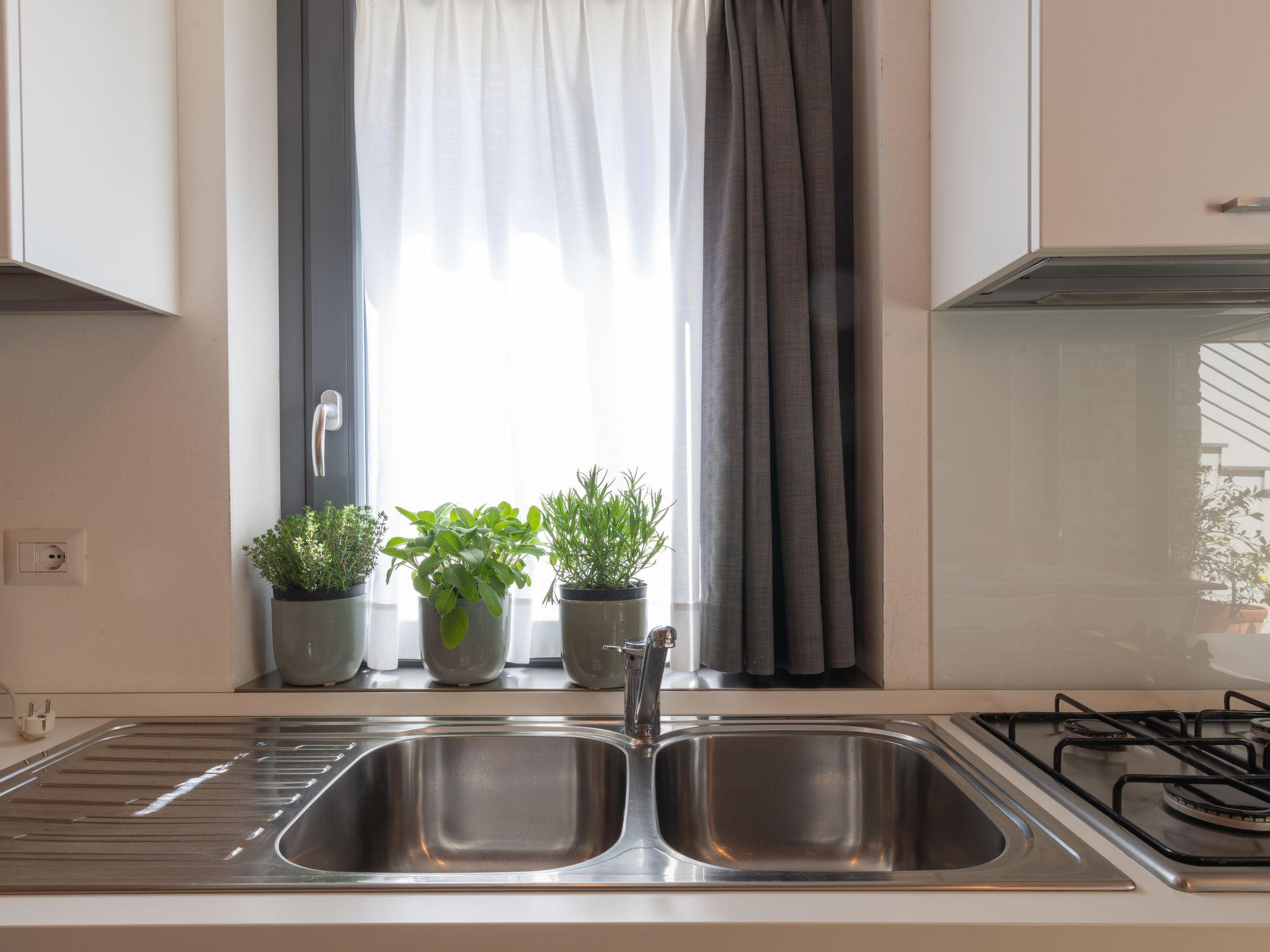 Photo of Baila (CCO510)