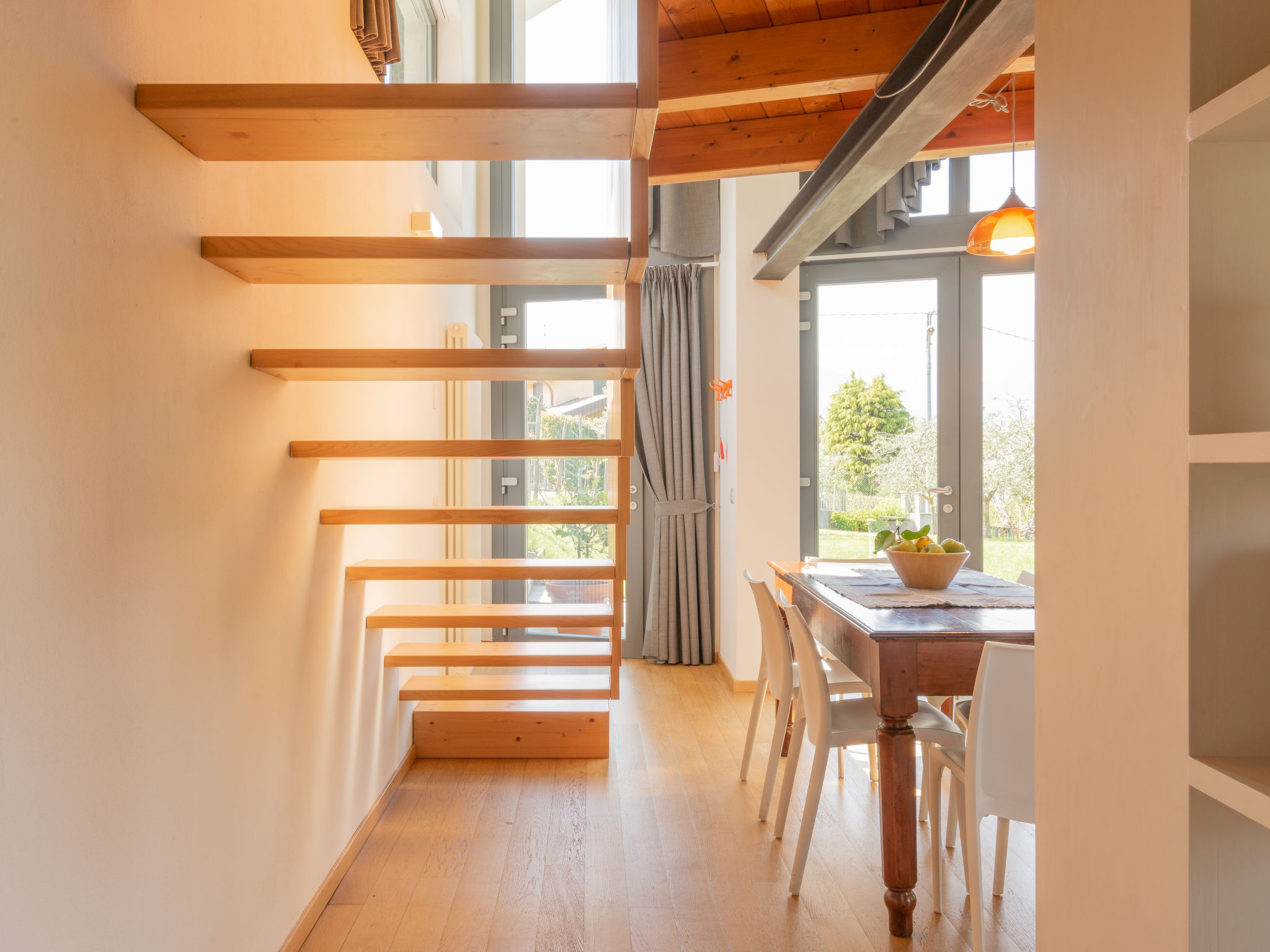 Photo of Baila (CCO511)