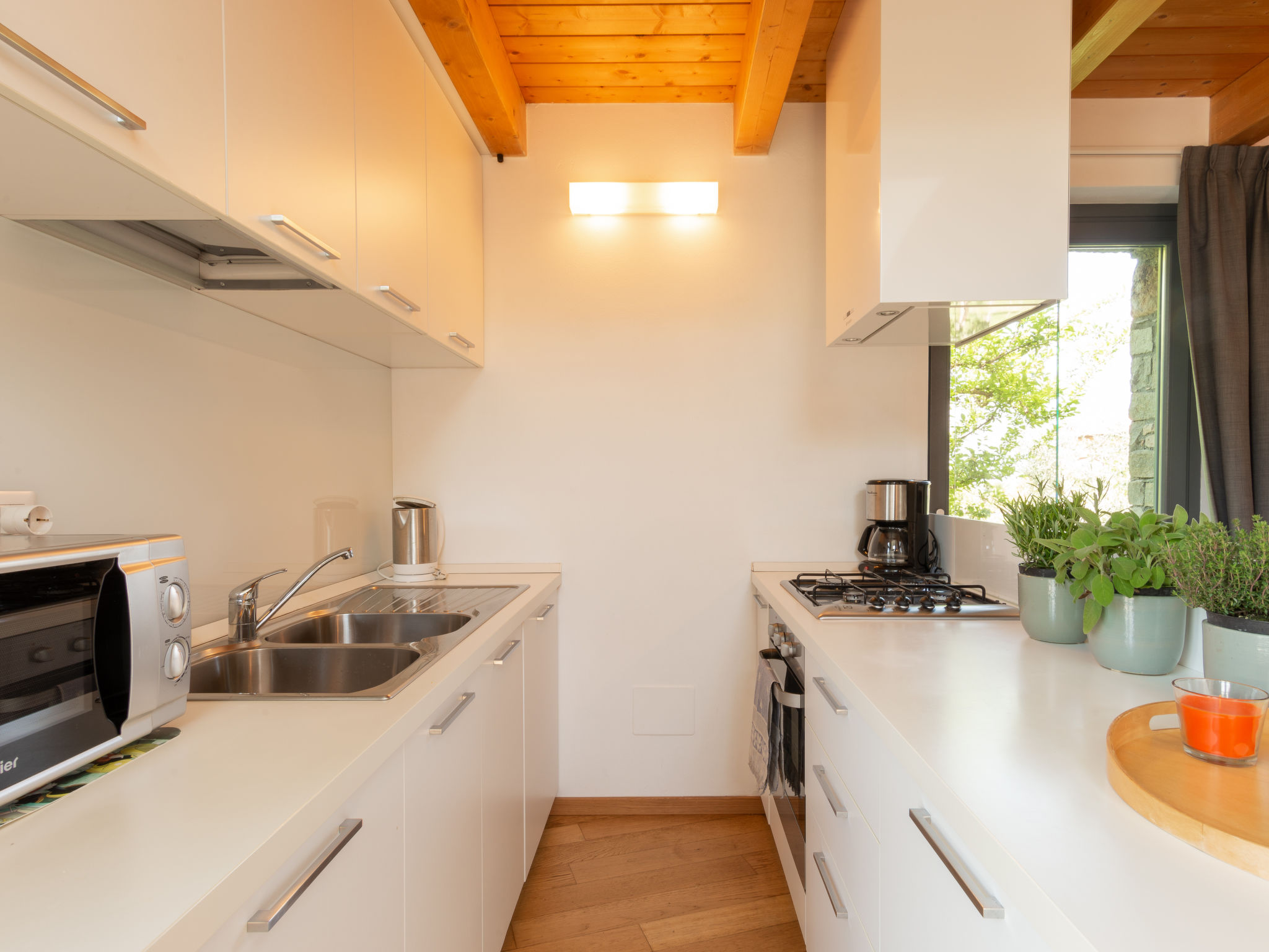 Photo of Baila (CCO511)