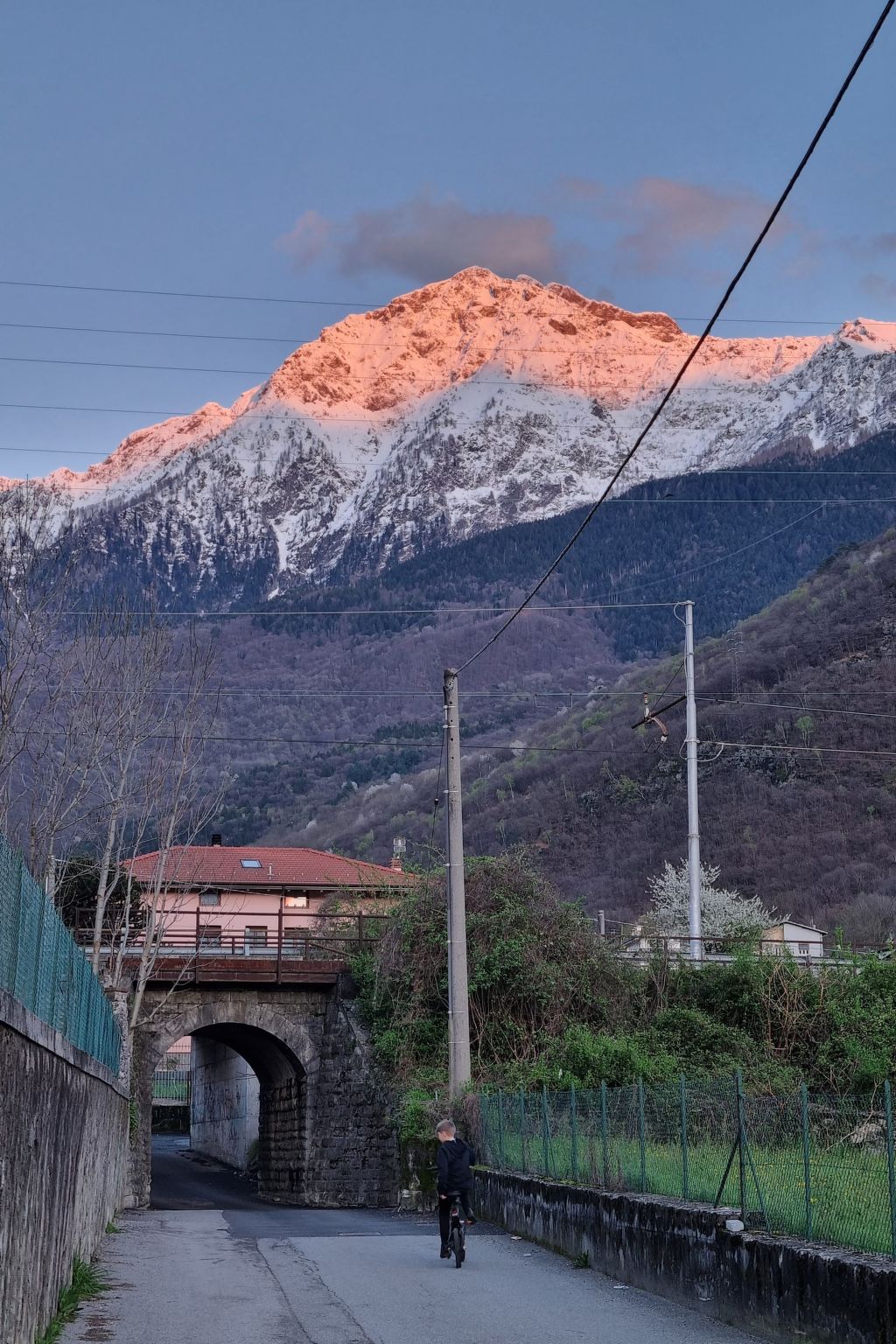 LoSteLaDa-Image-tags.info