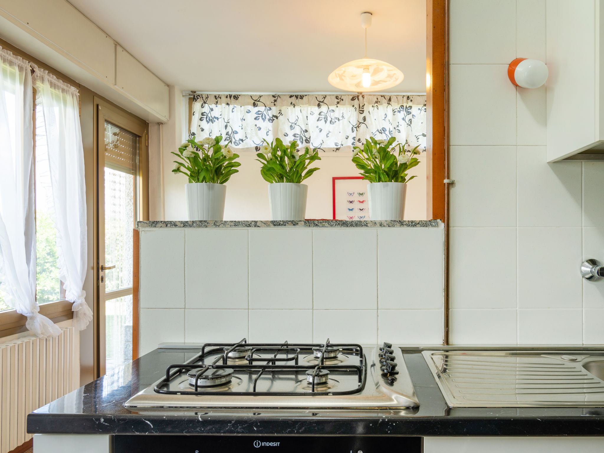 Photo of Gelsomino (CCO115)