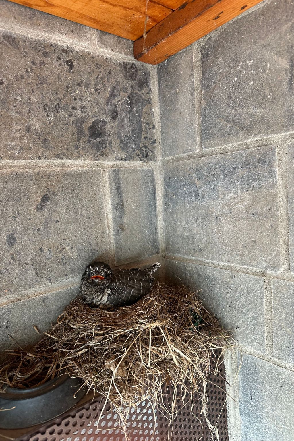 Das Quiet Corner Apartment - Comer See-Image-tags.info