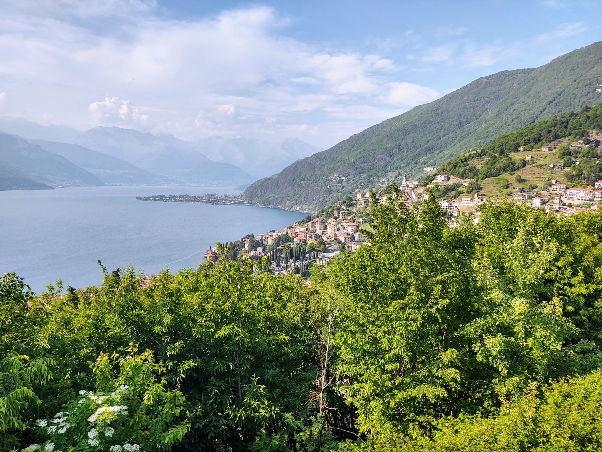 Photo of Belvedere