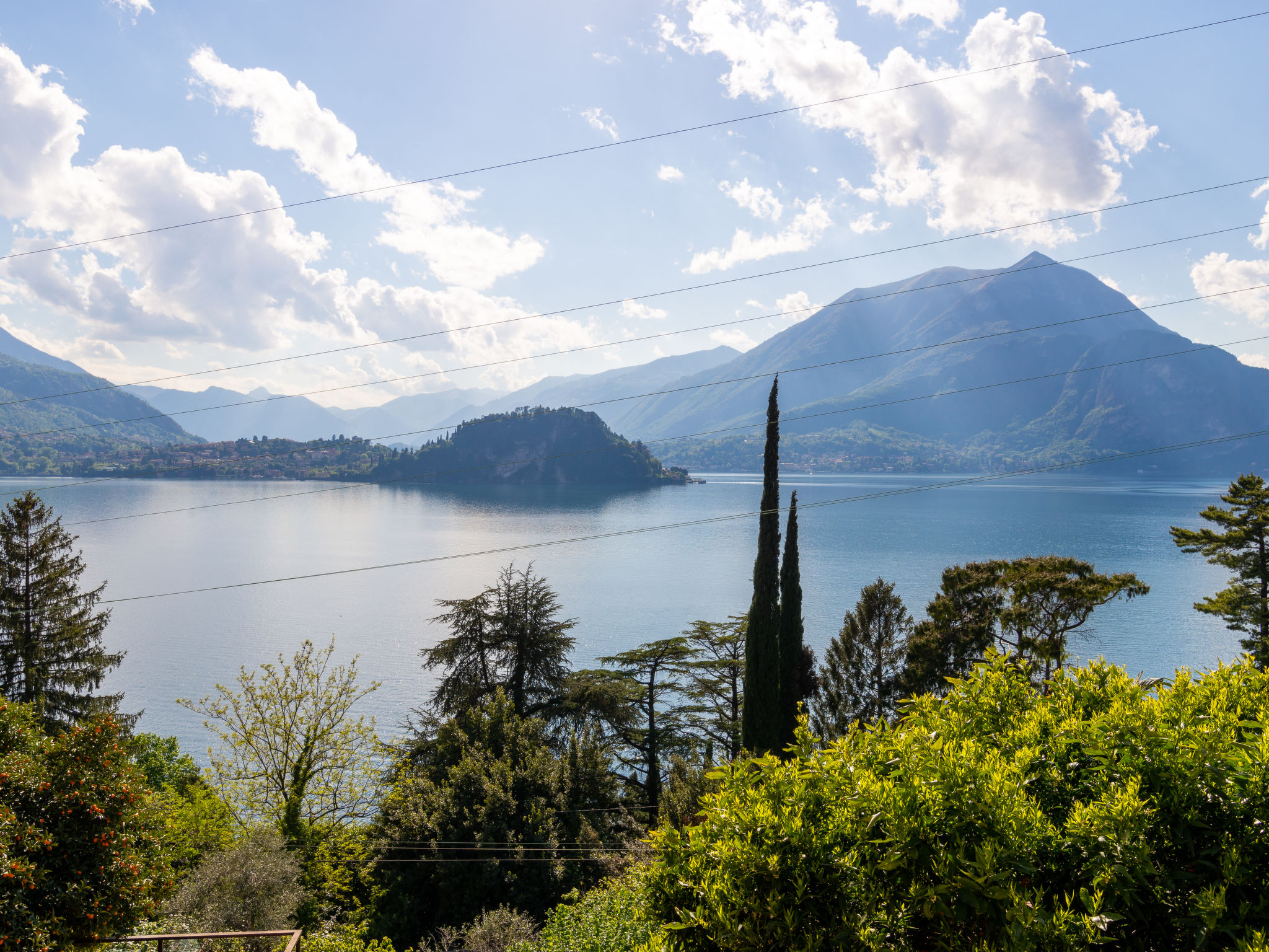 Photo of Stefania (VNA370)